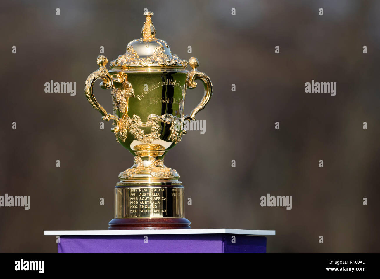 10+ Campeonato Mundial De Rugby Union 2019 fotos de stock, imagens