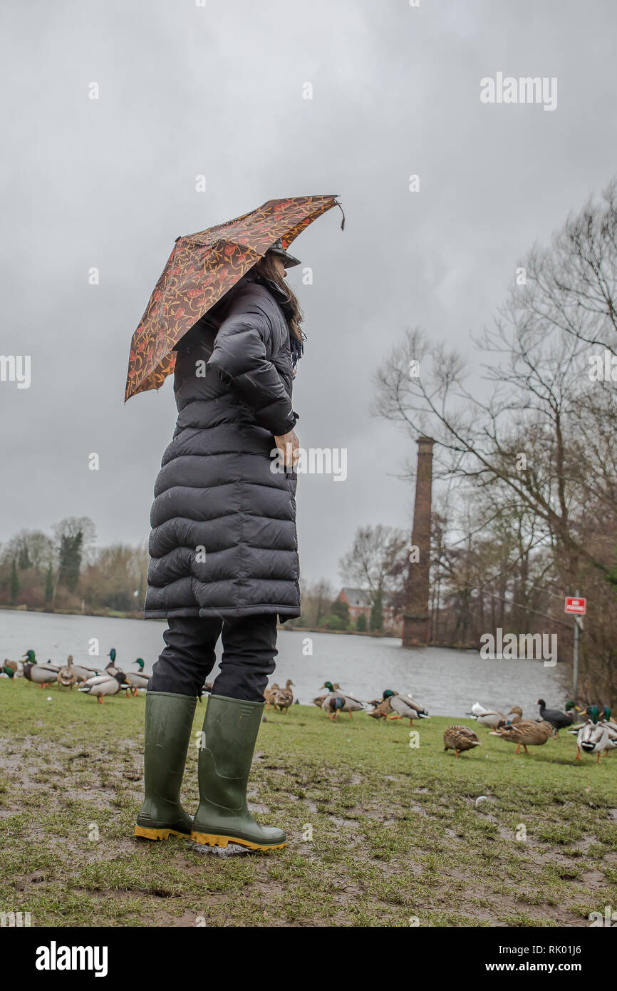 Kidderminster, UK. 8th February, 2019. UK weather: persistent heavy rain leads to water levels rising in Worcestershire with blustery showers continuing throughout the day. Young lady wearing long coat and wellies struggles with her brolly in the wet and windy conditions. Credit: Lee Hudson/Alamy Live News Stock Photo