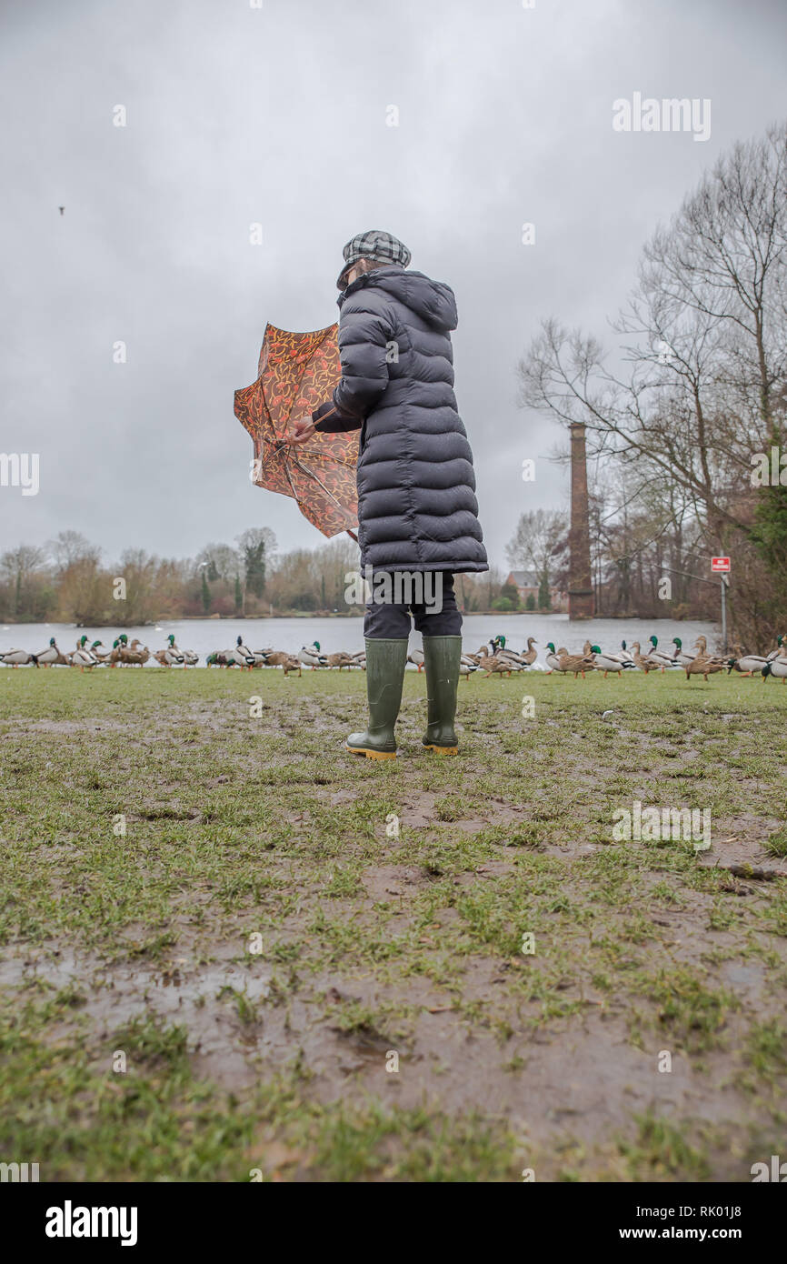 Kidderminster, UK. 8th February, 2019. UK weather: persistent heavy rain leads to water levels rising in Worcestershire with blustery showers continuing throughout the day. A young lady, rear view, wearing a long, winter coat and wellies stands isolated outdoors, struggling with her umbrella in the wet and windy conditions. Credit: Lee Hudson/Alamy Live News Stock Photo