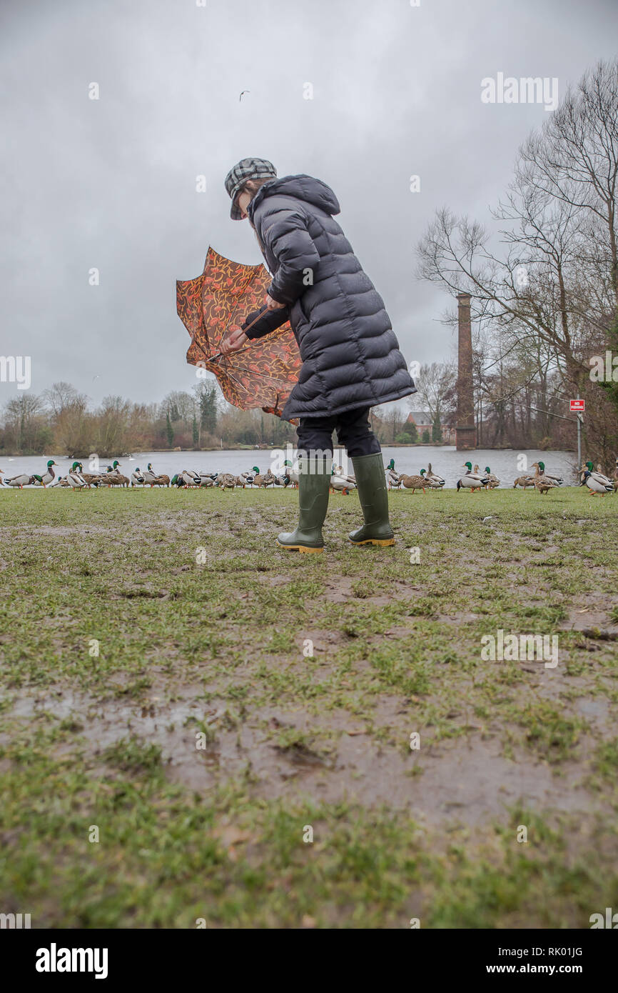 Kidderminster, UK. 8th February, 2019. UK weather: persistent heavy rain leads to water levels rising in Worcestershire with blustery showers continuing throughout the day. Young lady wearing long coat and wellies struggles with her brolly in the wet and windy conditions. Credit: Lee Hudson/Alamy Live News Stock Photo