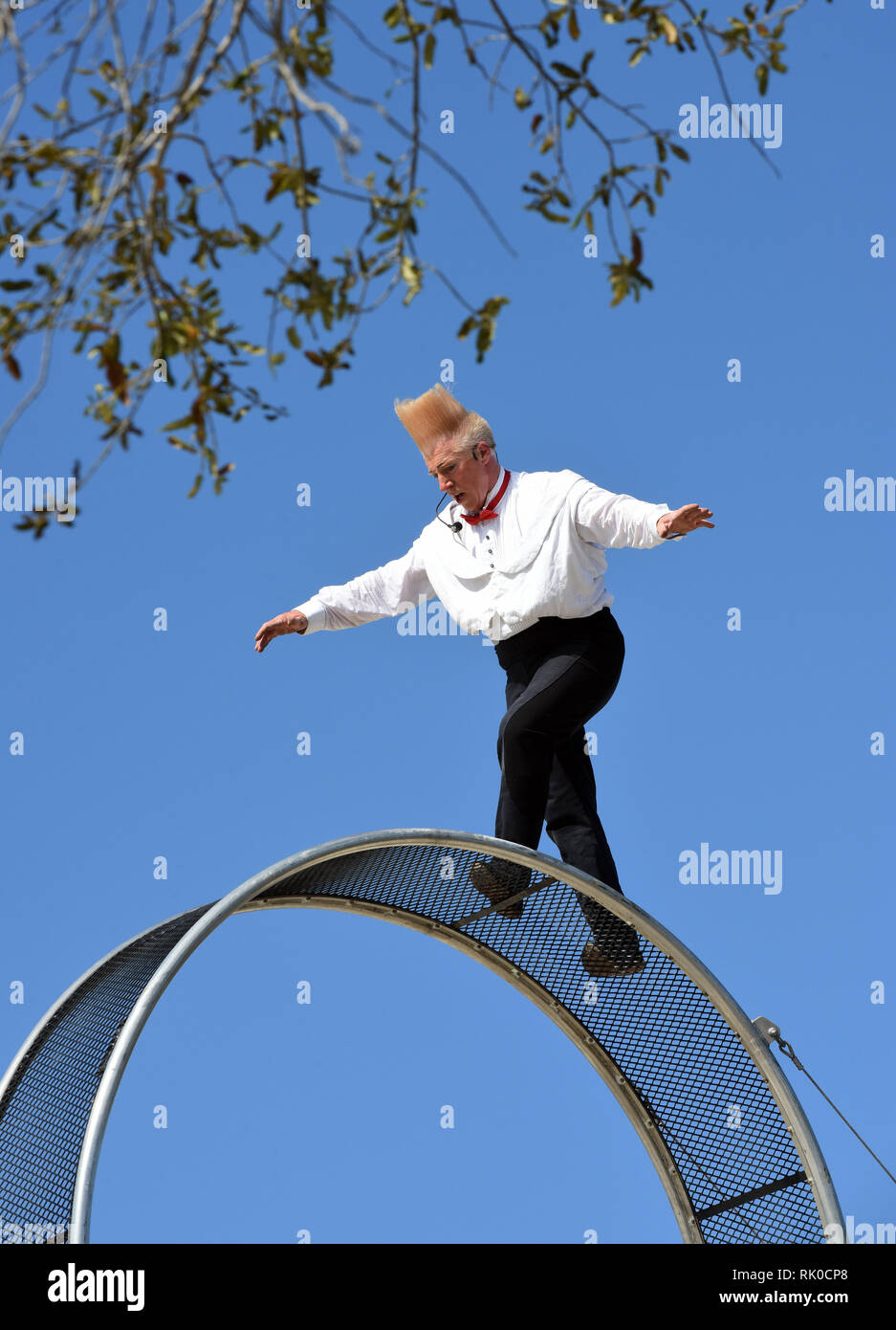 Bello nock 2019 hires stock photography and images Alamy