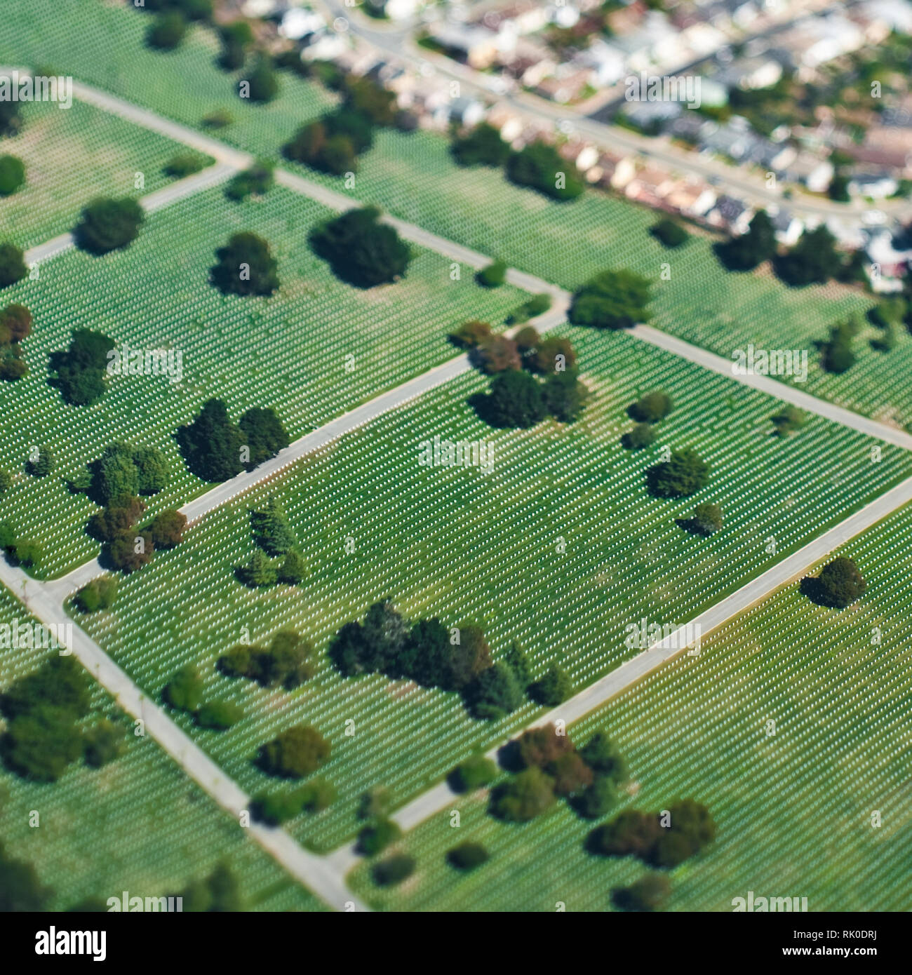 Aerial View of City Park Stock Photo