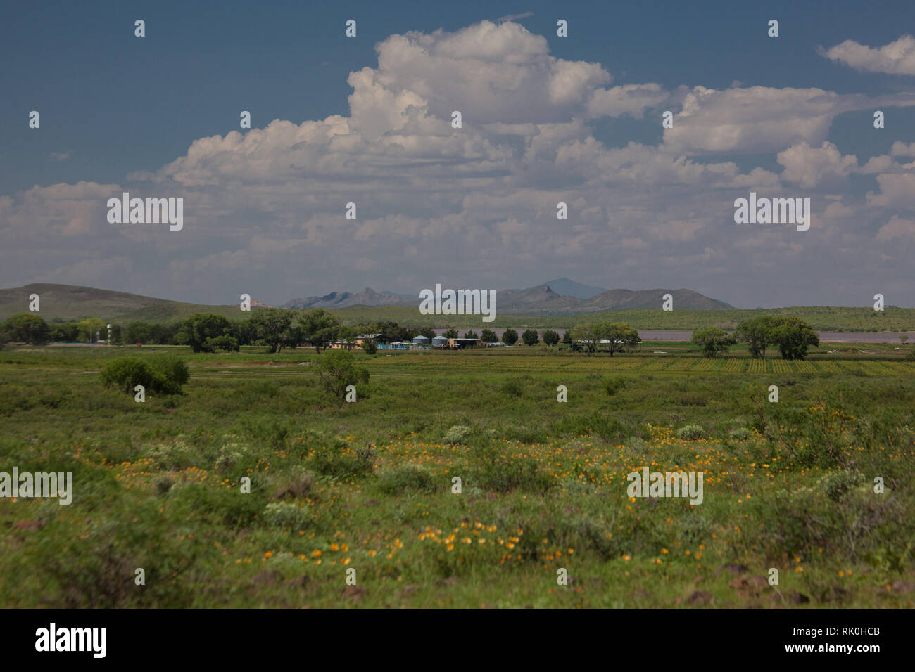 Colonia Mexico, Mpo. Ascension, Chihuahua, Mexico Stock Photo Alamy