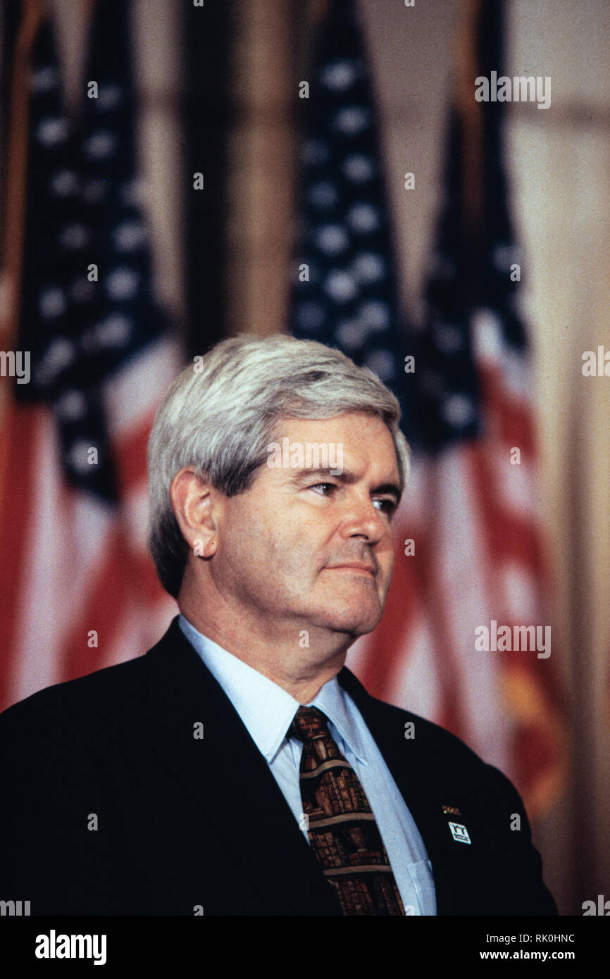 Contract with america newt hi-res stock photography and images - Alamy