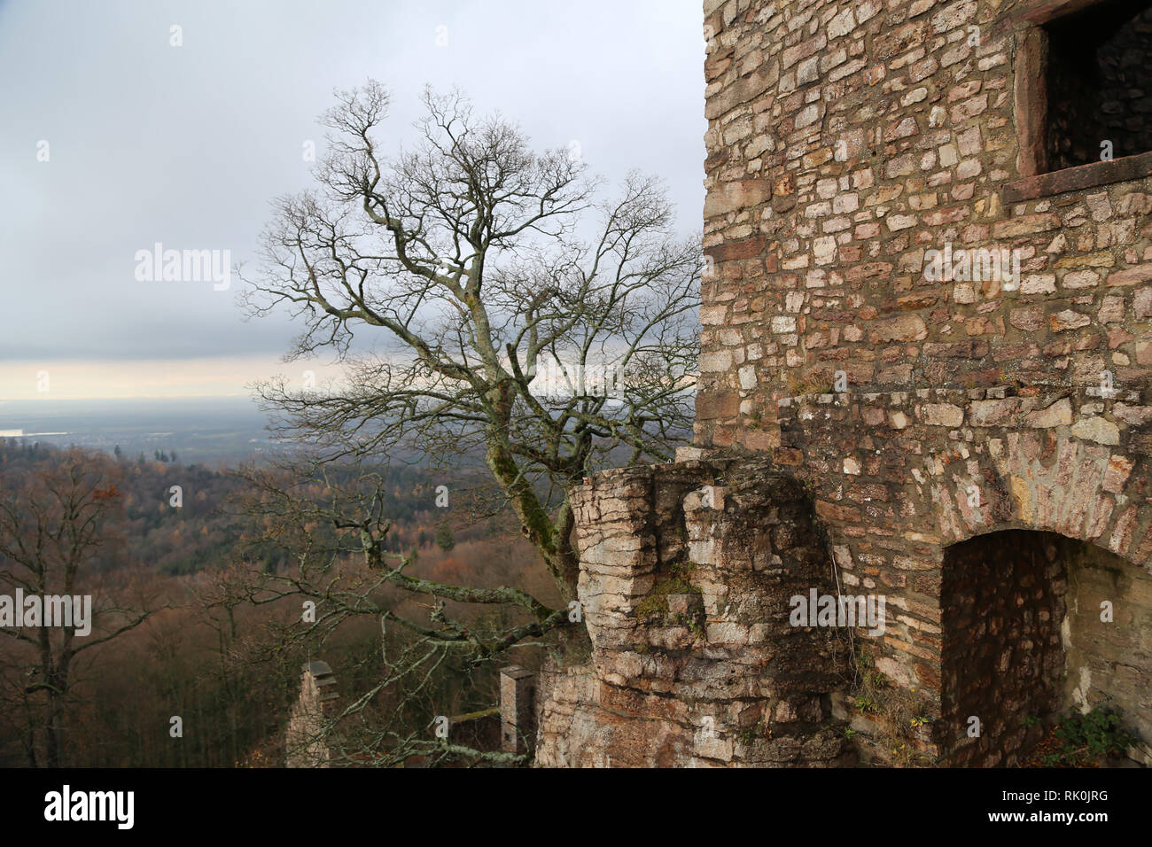 Old Castle ruins / Old Castle ruins, Baden-Baden, Germany Stock Photo