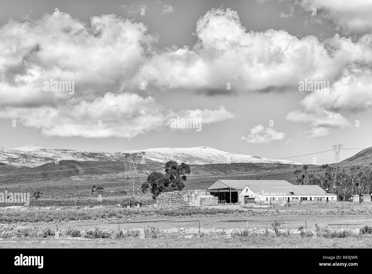 CERES, SOUTH AFRICA, AUGUST 8, 2018: Monochrome farm landscape on road R46 near Ceres in the Western Cape Province. Barns, fruit crates, electricity i Stock Photo