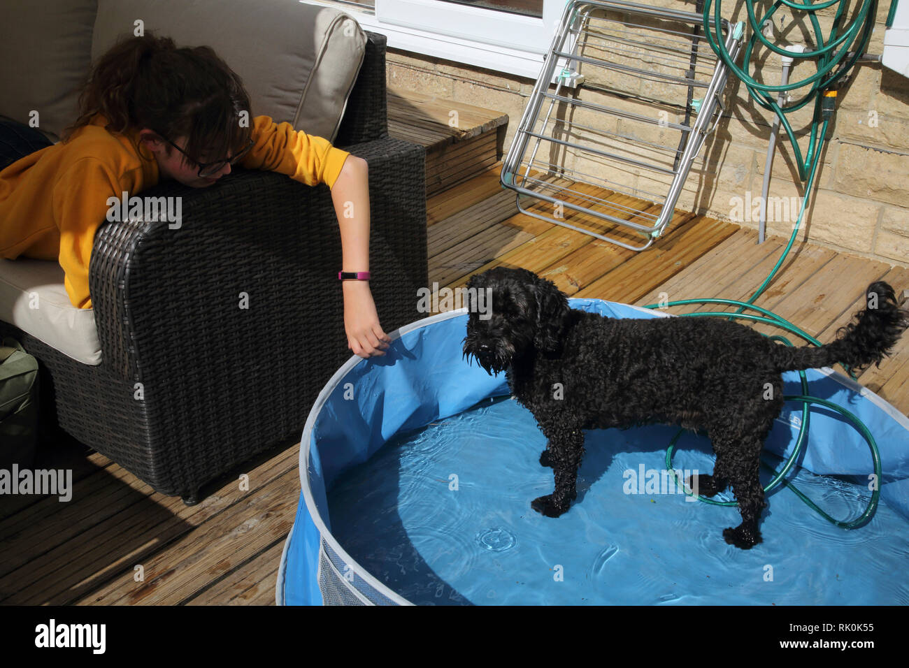 Teenager Filling Paddling Pool with Hose While Cockapoo Dog Plays ...