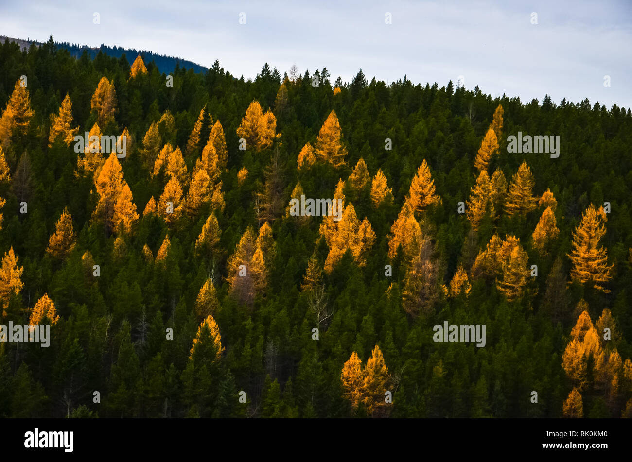 Gorgeous british columbia hi-res stock photography and images - Alamy