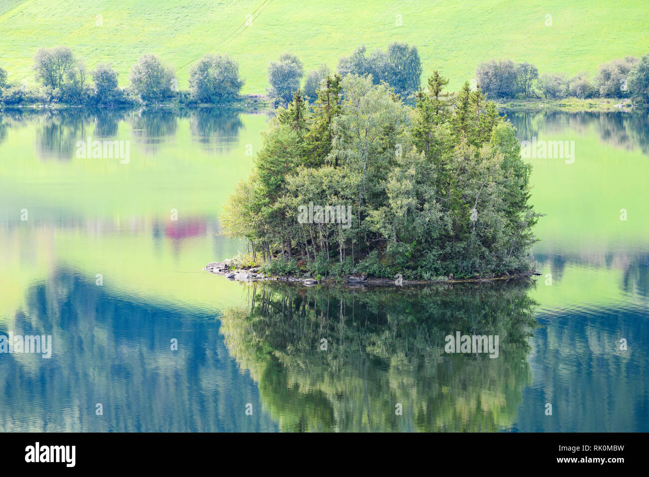 trees growing on island in middle of fjord, Aurland, Norway, Europe Stock Photo