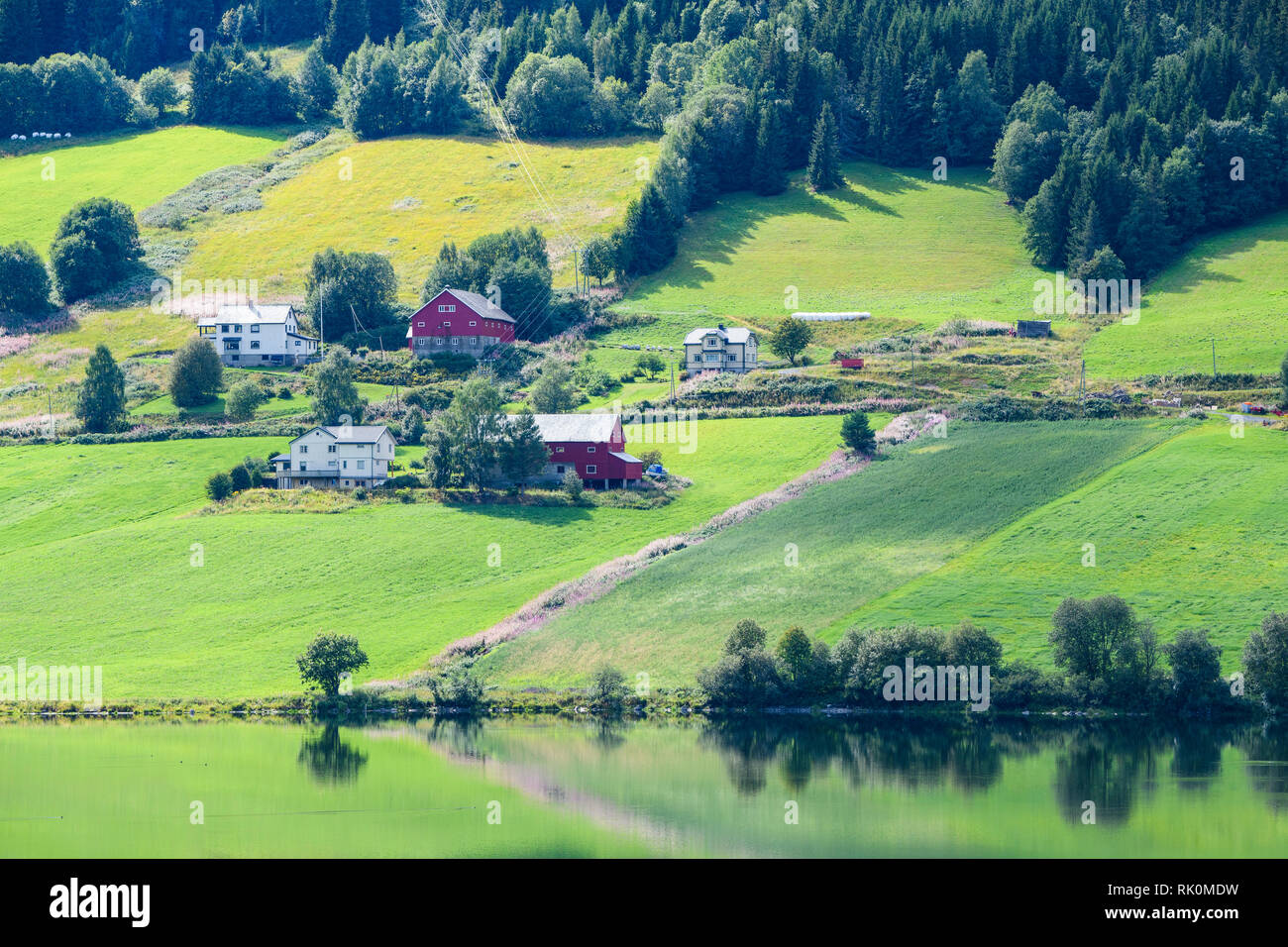 Houses nestled on hillside in rural Aurland, Norway, Europe Stock Photo