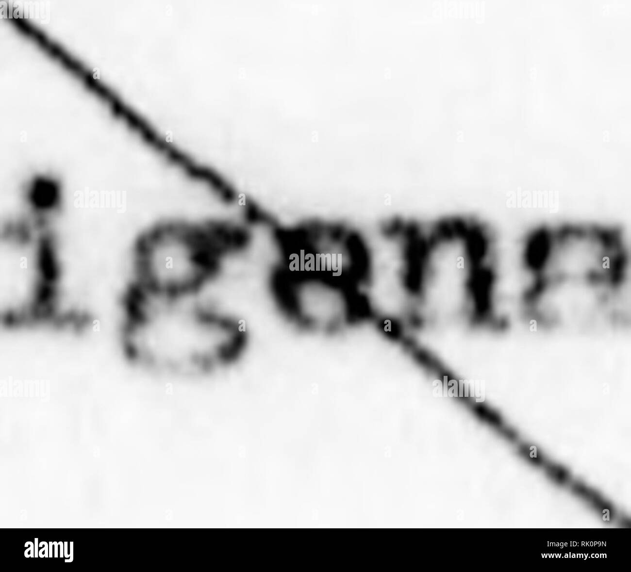 défilé off white pnl