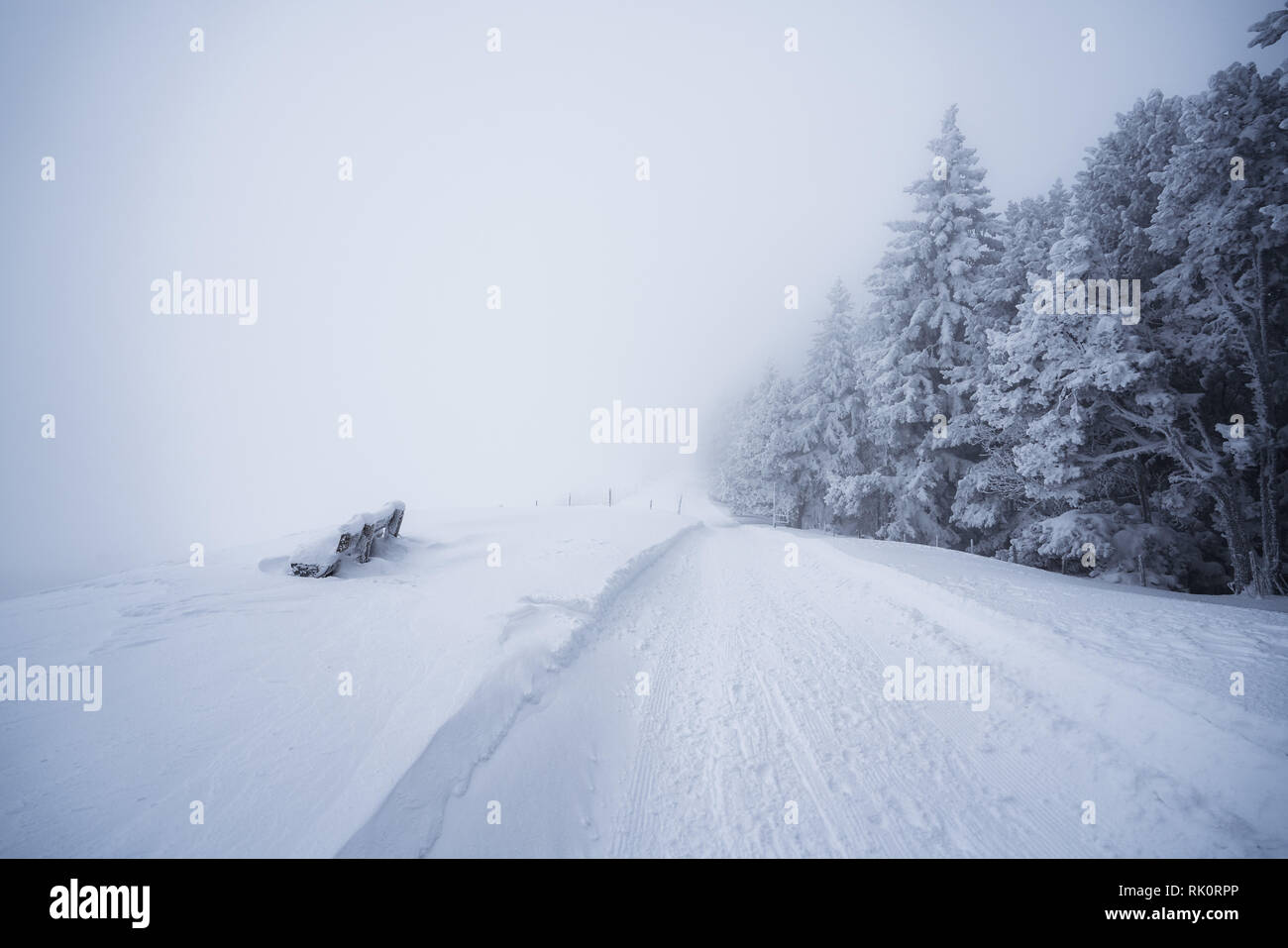 Winter in the Gantrisch Area, Berner Oberland. Foggy morning in the alps. Stock Photo