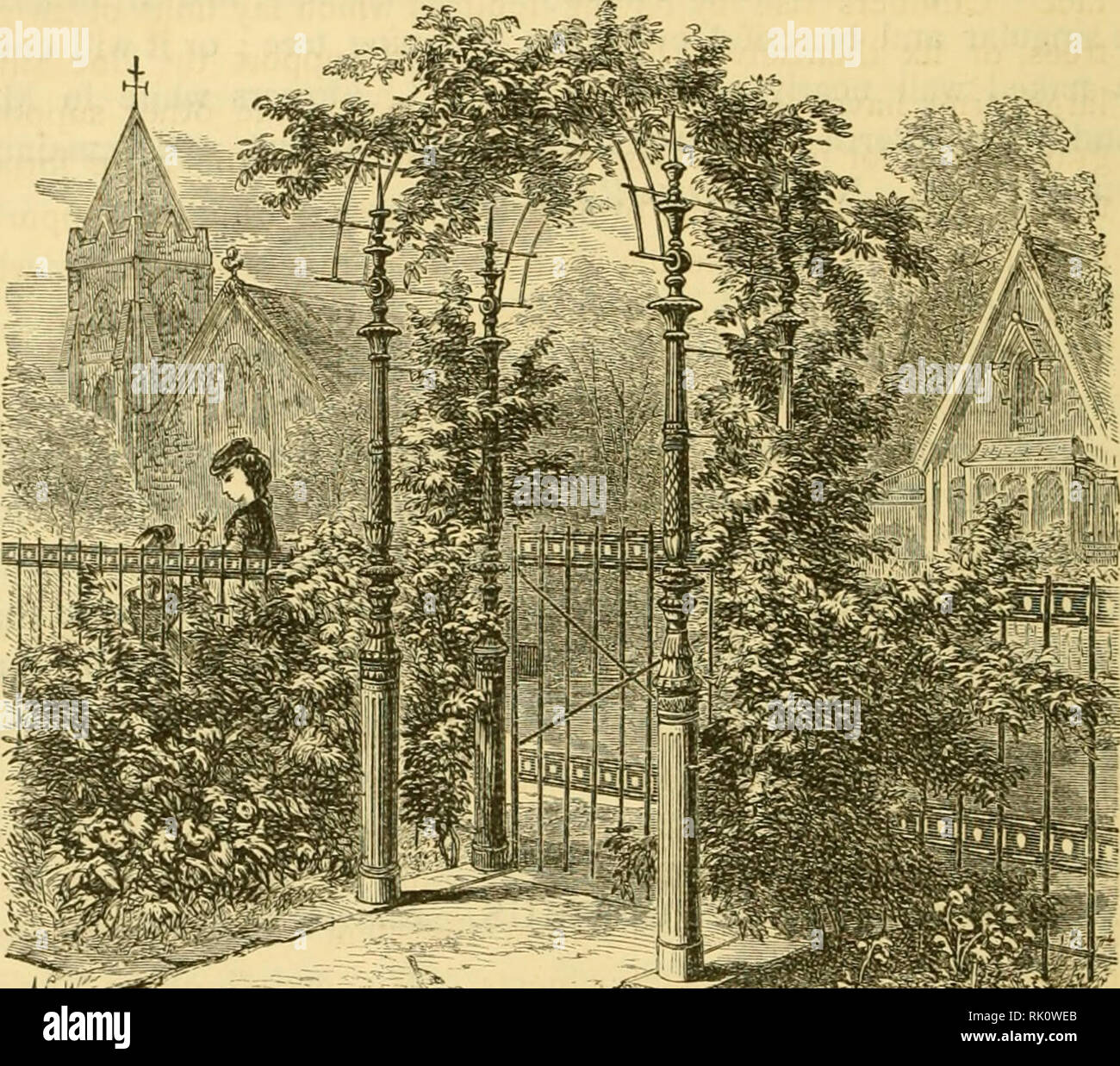 Landscape gardening; Trees 