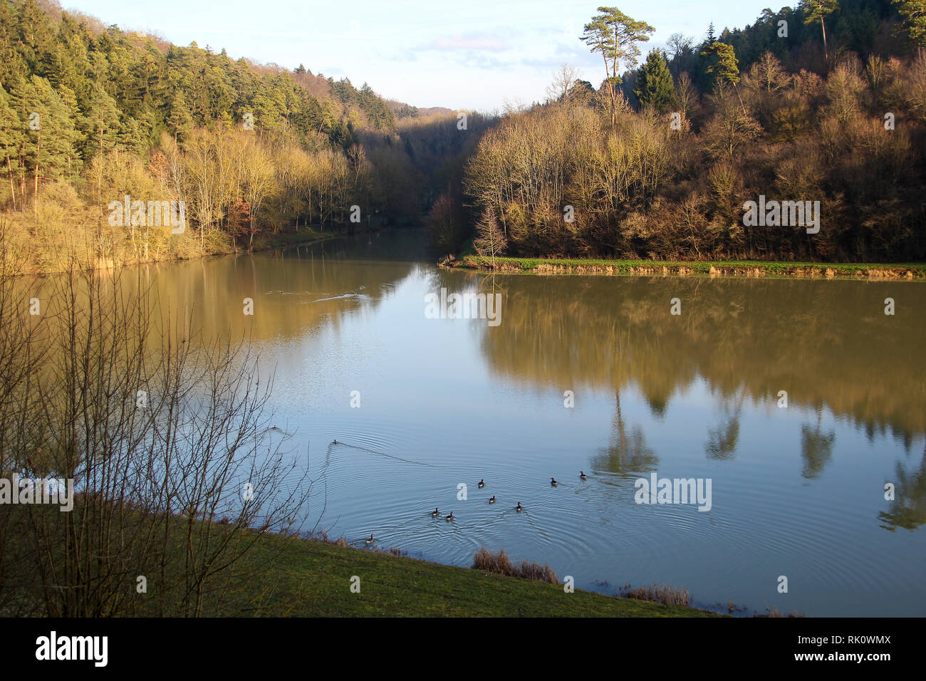 Autumn Landscape / Autumn Lake Stock Photo - Alamy