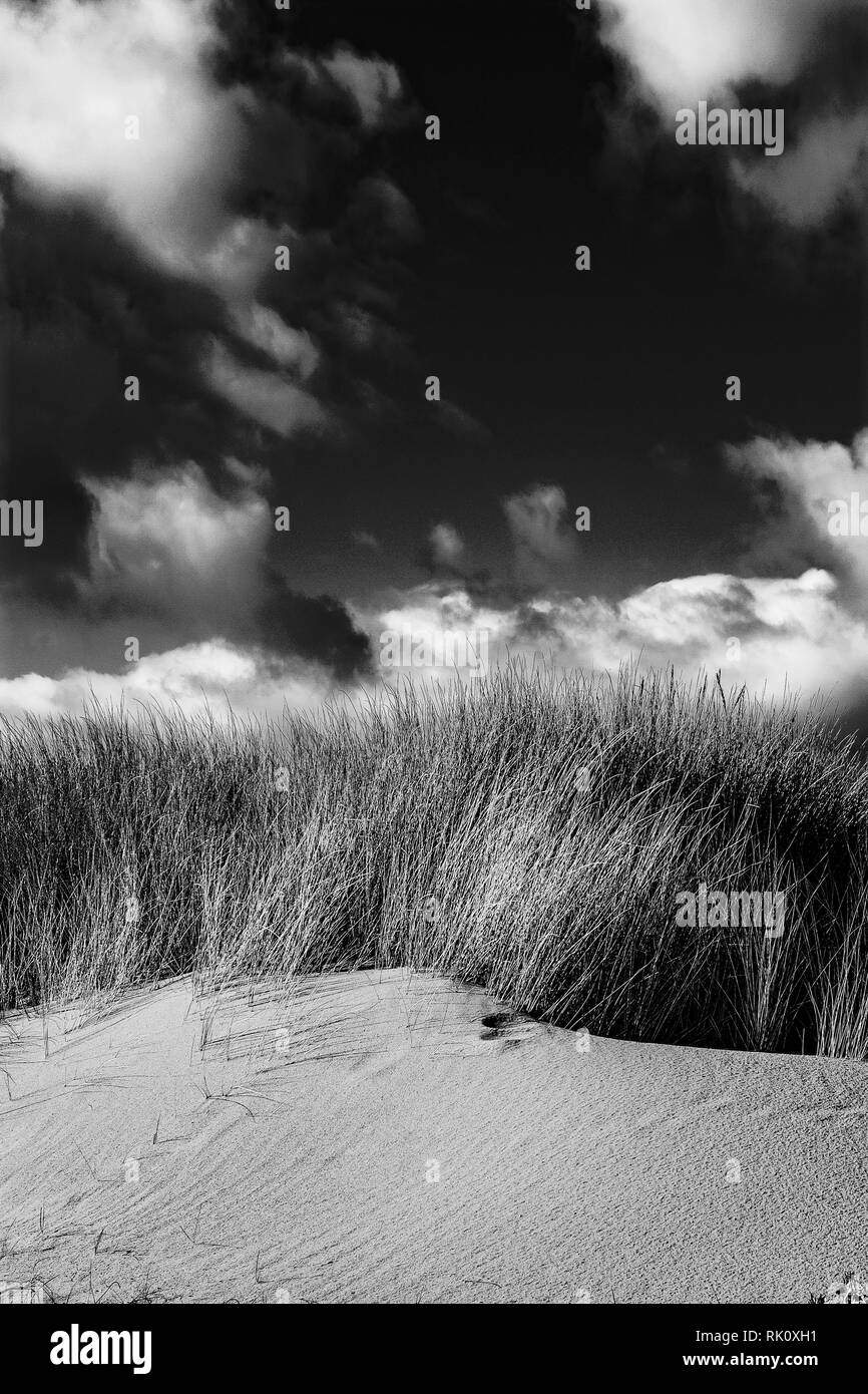 Sunset sky clouds field Black and White Stock Photos & Images - Alamy