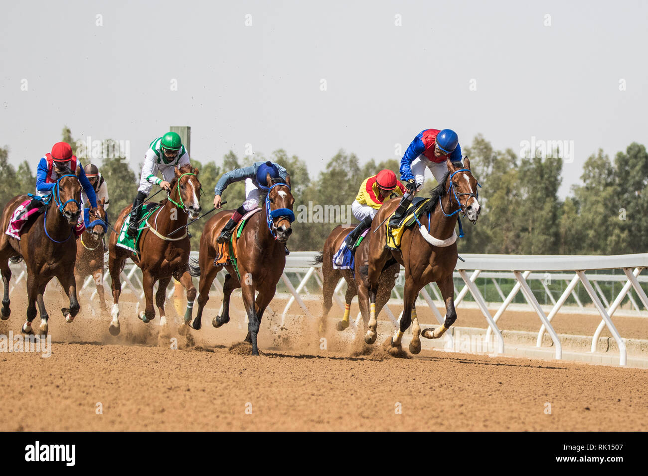Horse racing at King Khalid Racetrack, Taif, Saudi Arabia. 23/06/2018