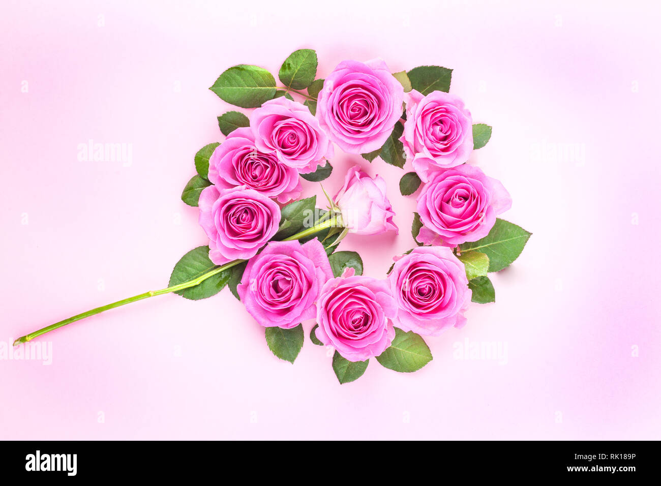 Pink roses on a gentle background. Bouquet as a gift. Card with flowers