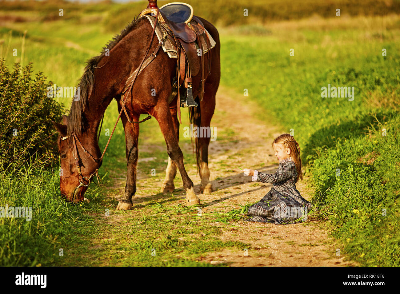 Little girl with a beautiful spotted horse in sunlight Stock Photo