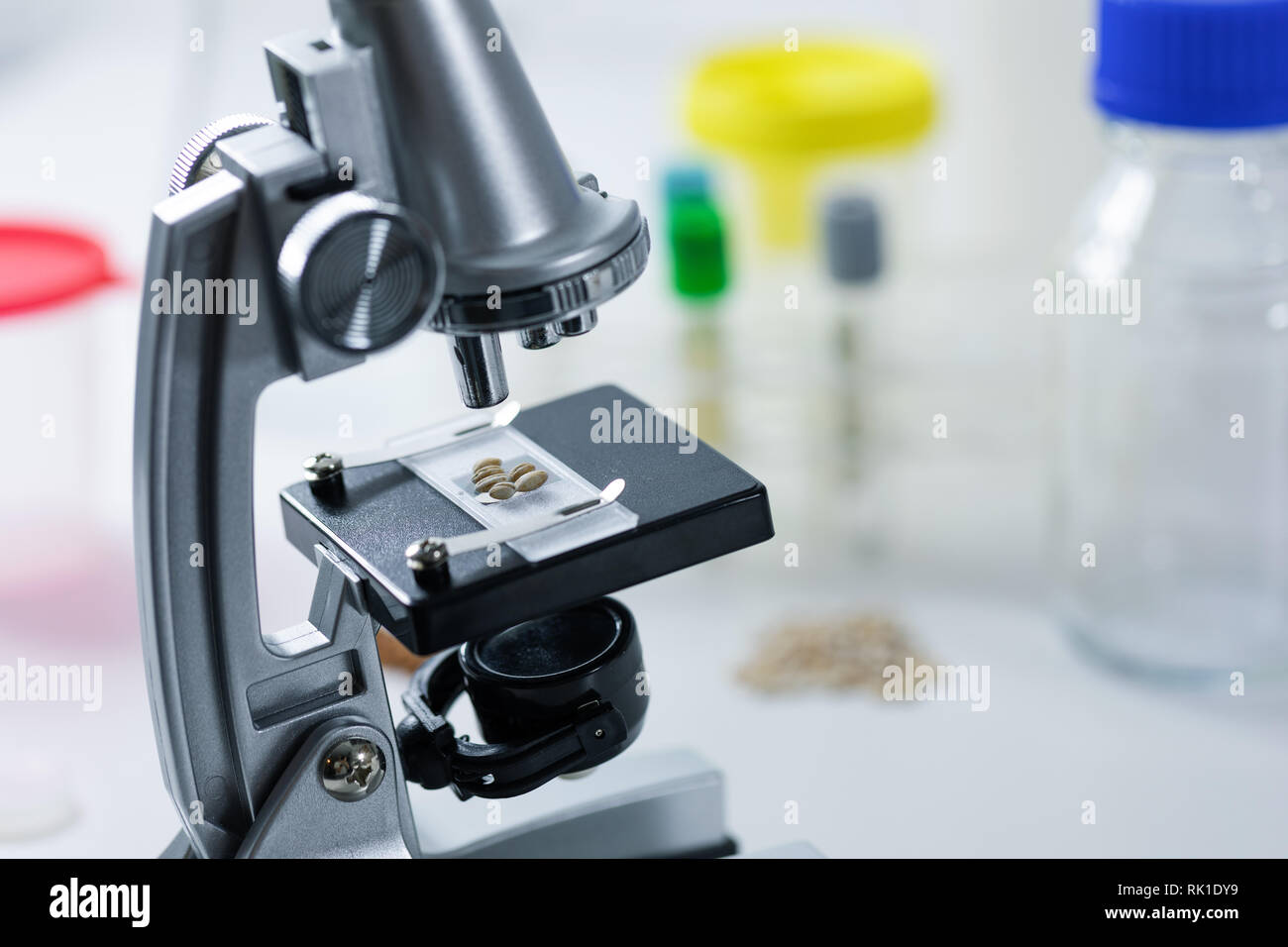 food inspection - inspecting grain quality with microscope in laboratory Stock Photo