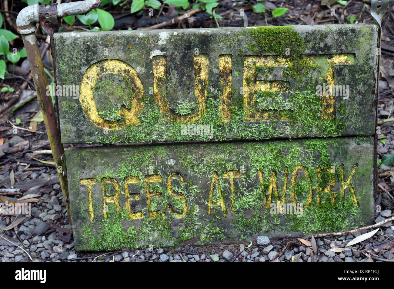 Moss And Mud Covered Quiet Trees At Work Sign In The Ko Olau Forest Reserve In Maui Hawaii Stock Photo Alamy Moss And Mud Covered Quiet Trees At Work Sign In The Ko Olau Forest Reserve In Maui Hawaii Stock Photo Alamy