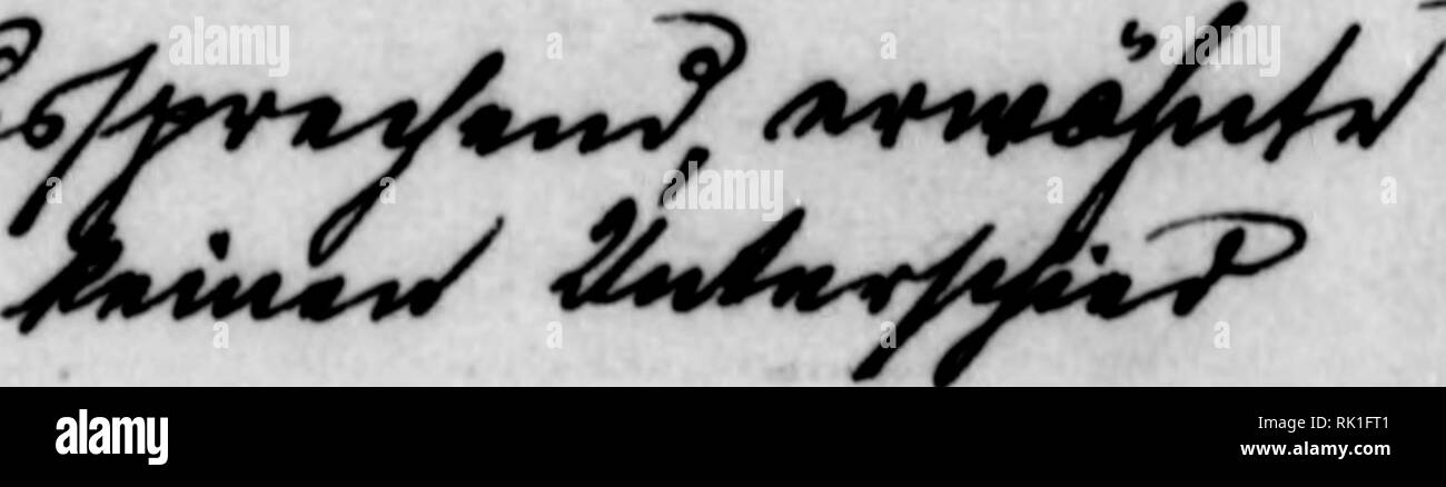 Bookleafnumber421 High Resolution Stock Photography And Images Alamy