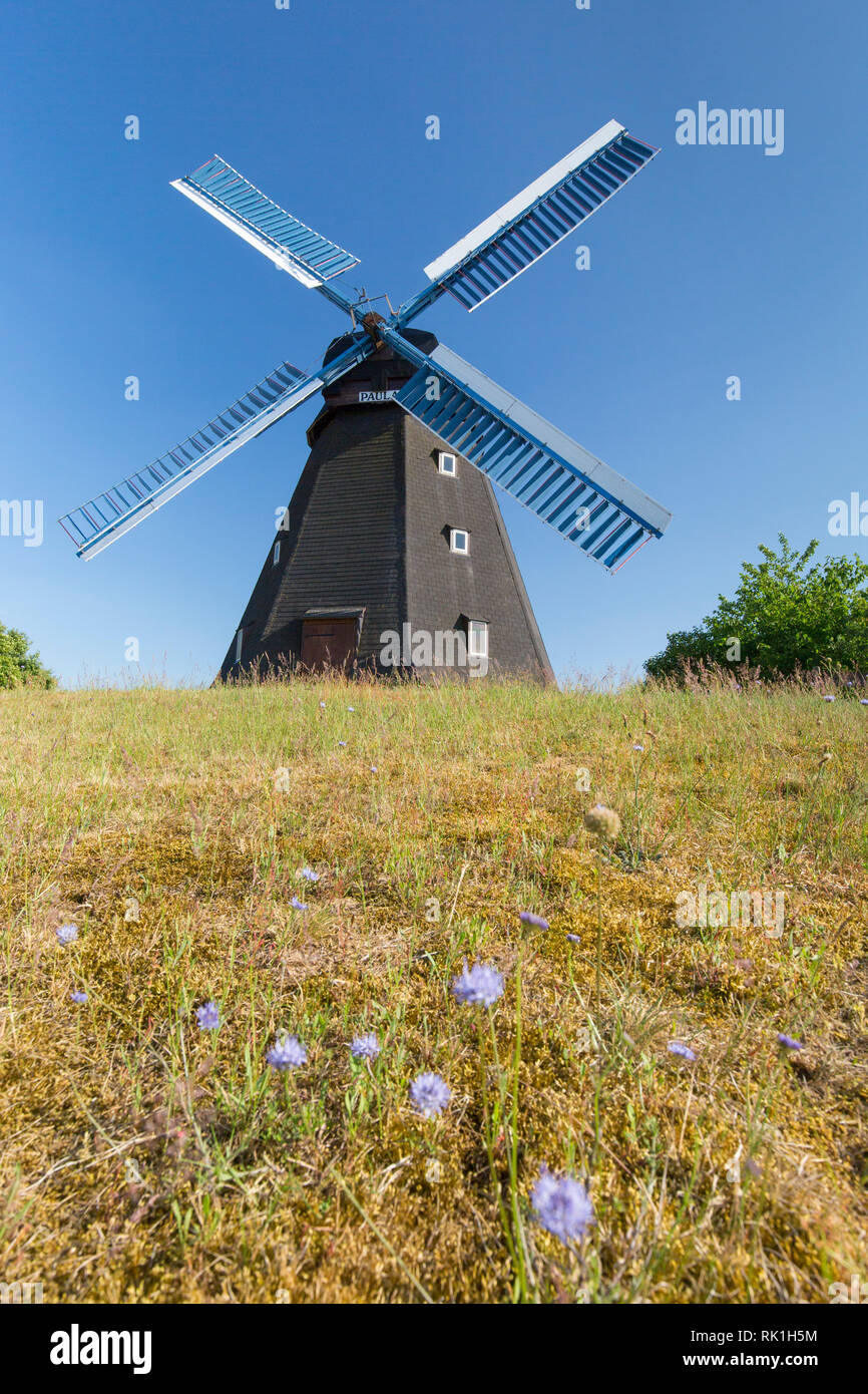 1863 windmill Paula, smock mill at Steinhude near Wunstorf, Lower Saxony / Niedersachsen, Germany Stock Photo