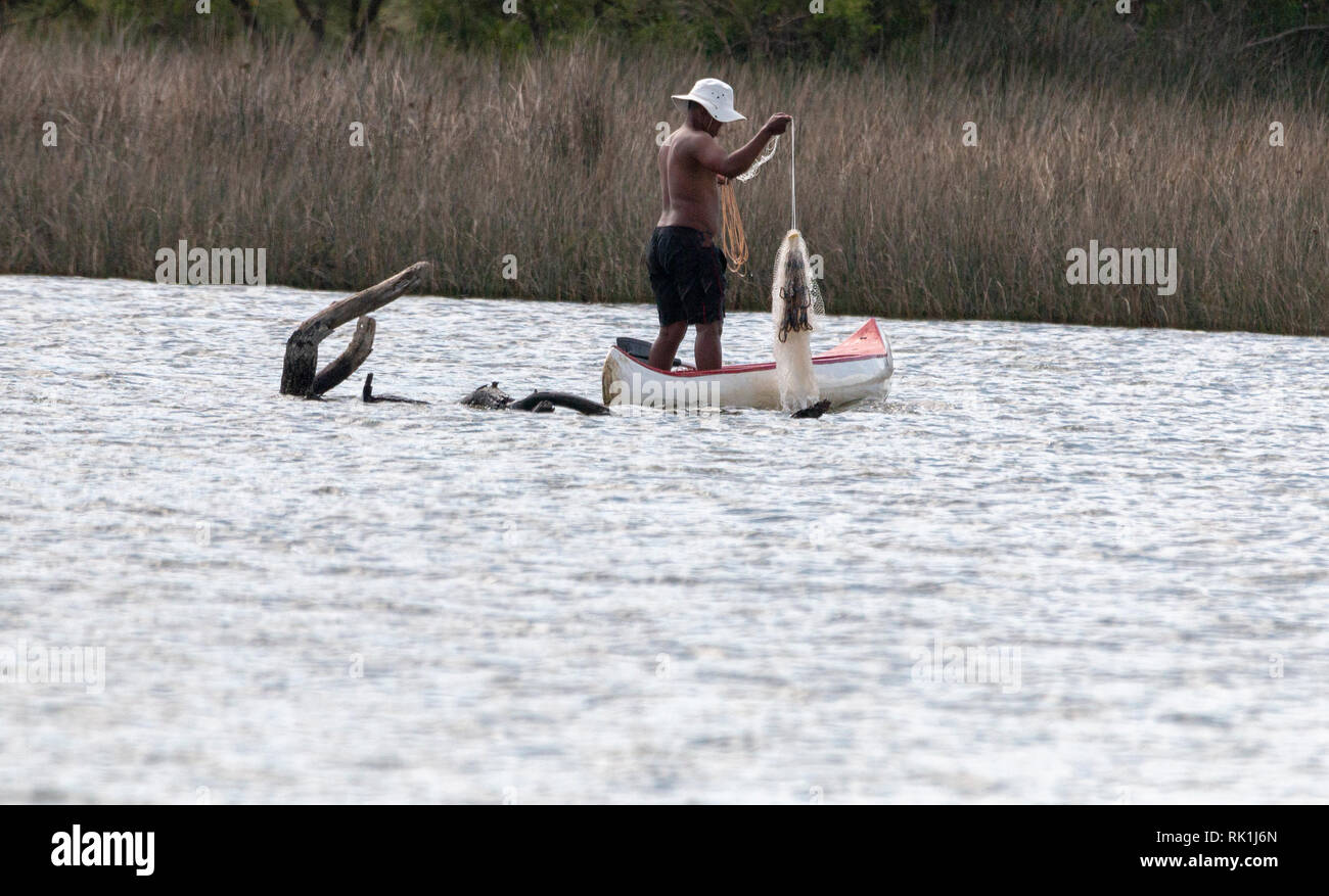 Used to catch fish in the sea hires stock photography and images Alamy