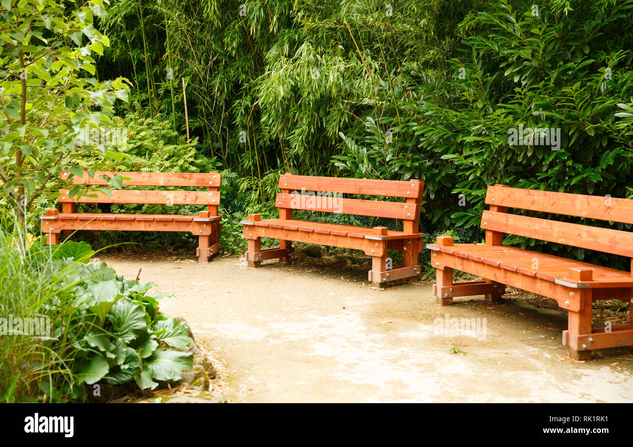 Three Wooden Benches In The Park Stock Photo 235453765 Alamy
