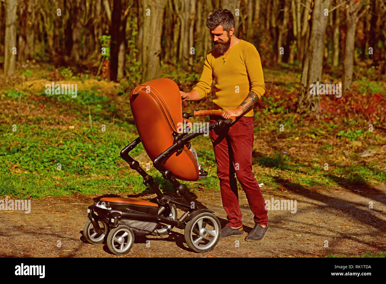 Bearded man walk baby pram in spring park on fathers day. Fathers day concept. The best father ever. Casually cool dad Stock Photo