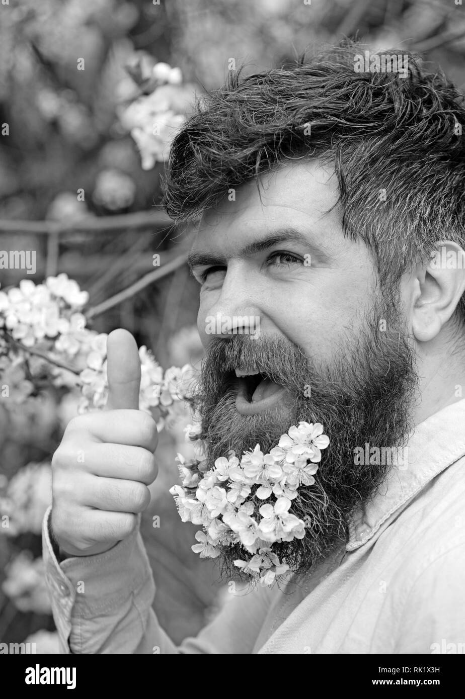 Spring mood concept. Bearded male face near blooming cherry tree ...