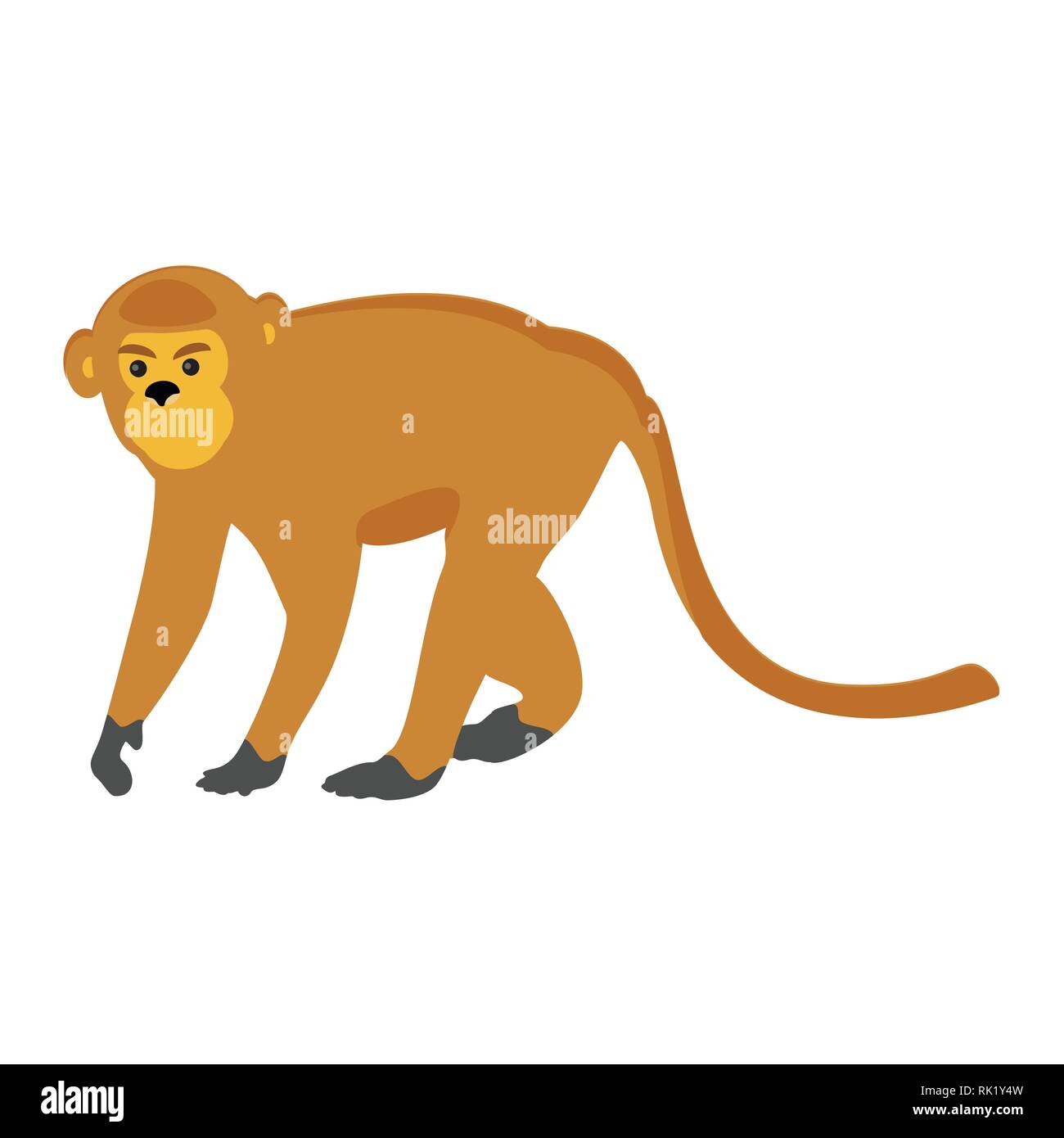 Vector illustration animal zoo monkey isolated on white background ...