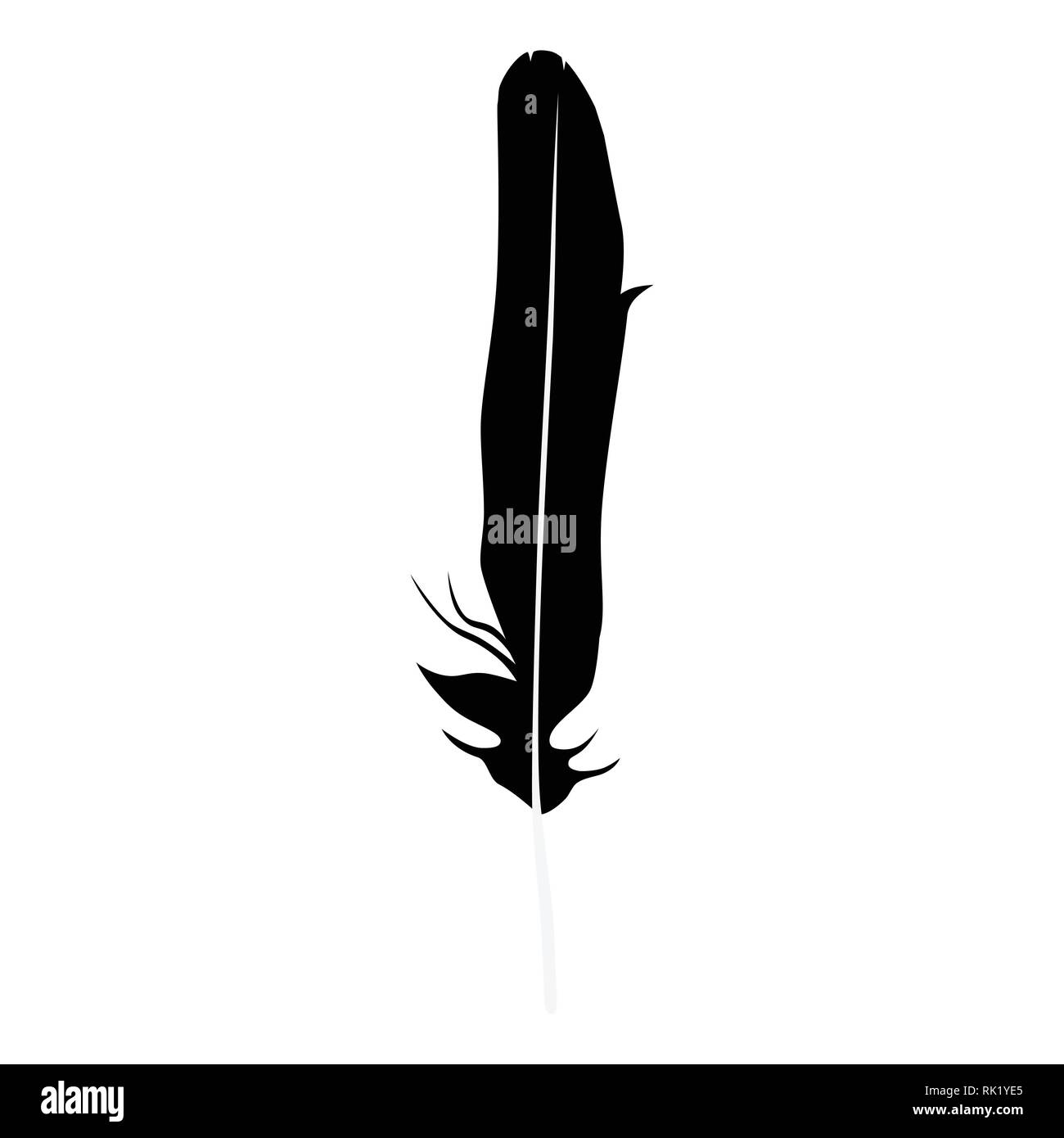 Vector illustration detailed feather silhouette isolated on white Stock ...