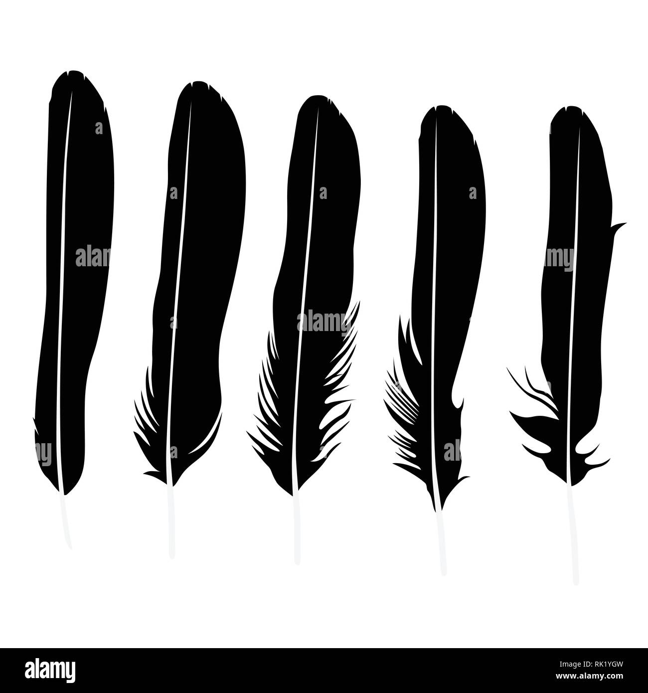 vector illustration detailed feather silhouette collection set stock vector image art alamy alamy