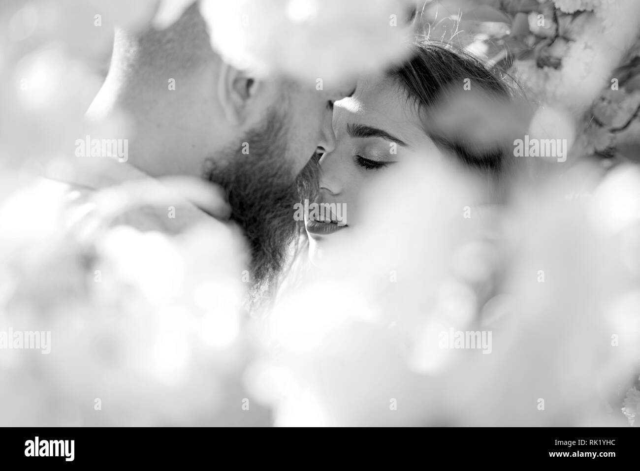 Couple kissing at blooming tree hi-res stock photography and images - Alamy