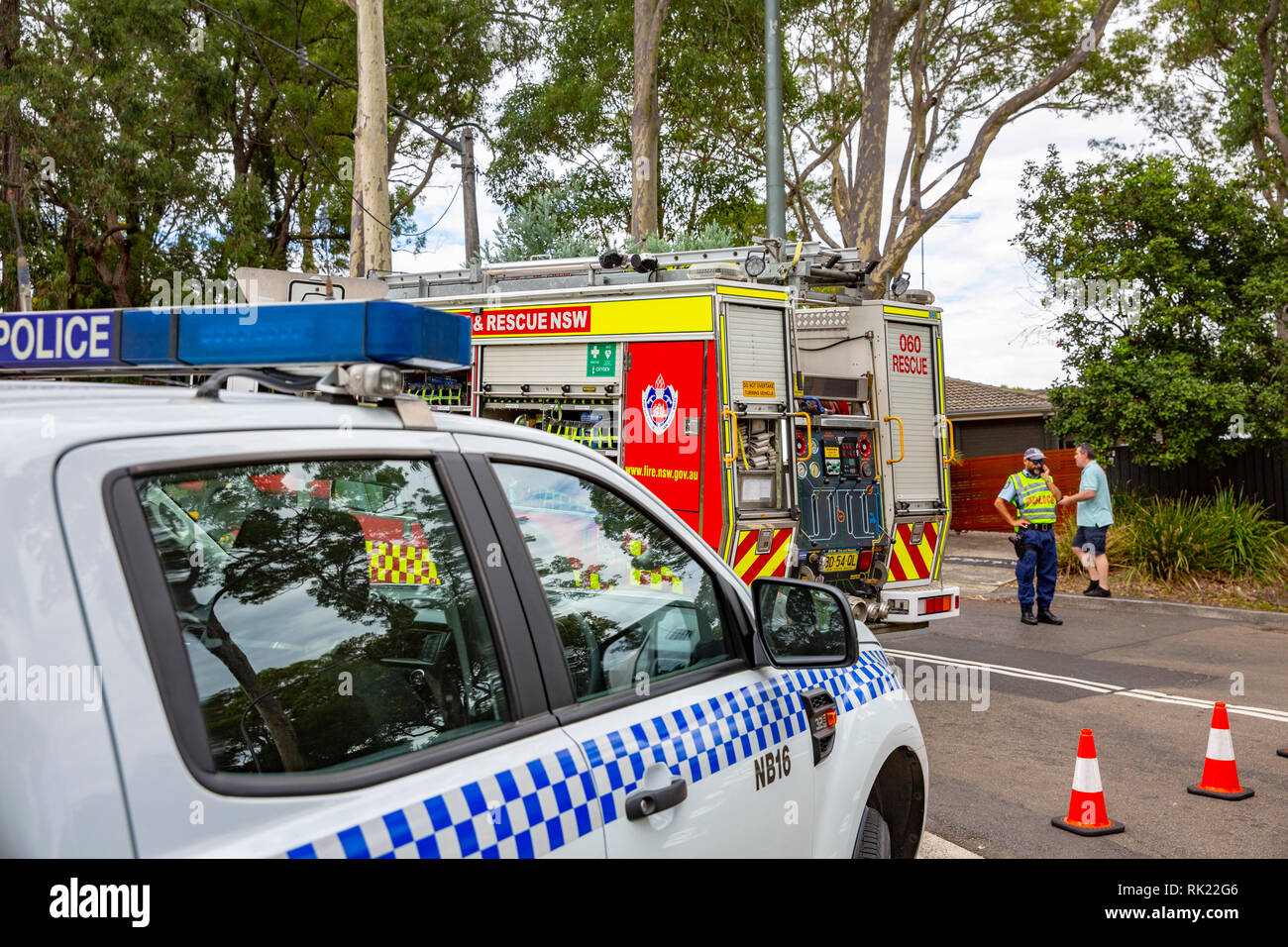 New South Wales police and fire brigade attend to a fallen tree in Sydney,Australia Stock Photo