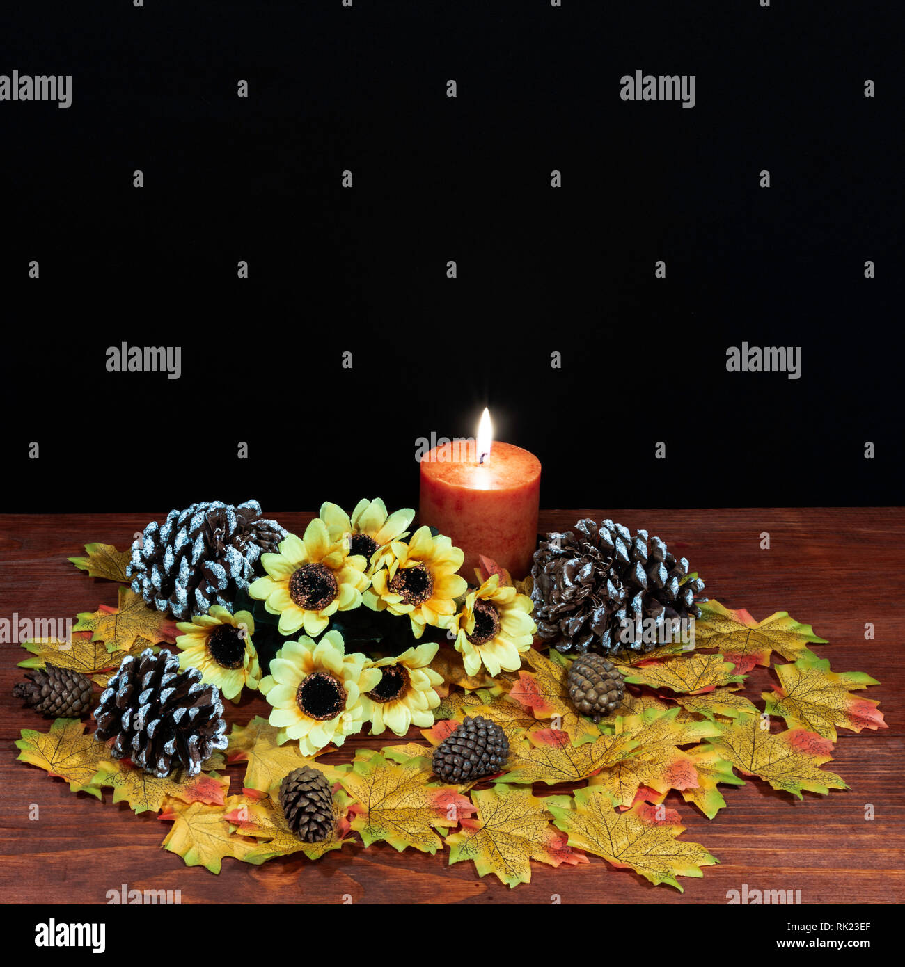 Silk maple leaves, beautiful bouquet of sunflowers, frosted pinecones and orange candle on tabletop with dark background. Stock Photo