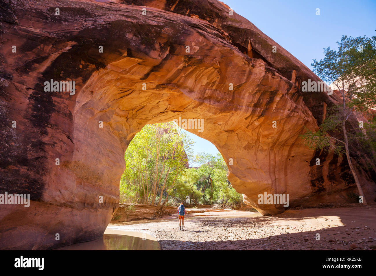 Jacob Hamblin Arch in Coyote Gulch, Grand Staircase-Escalante National Monument, Utah, United States Stock Photo