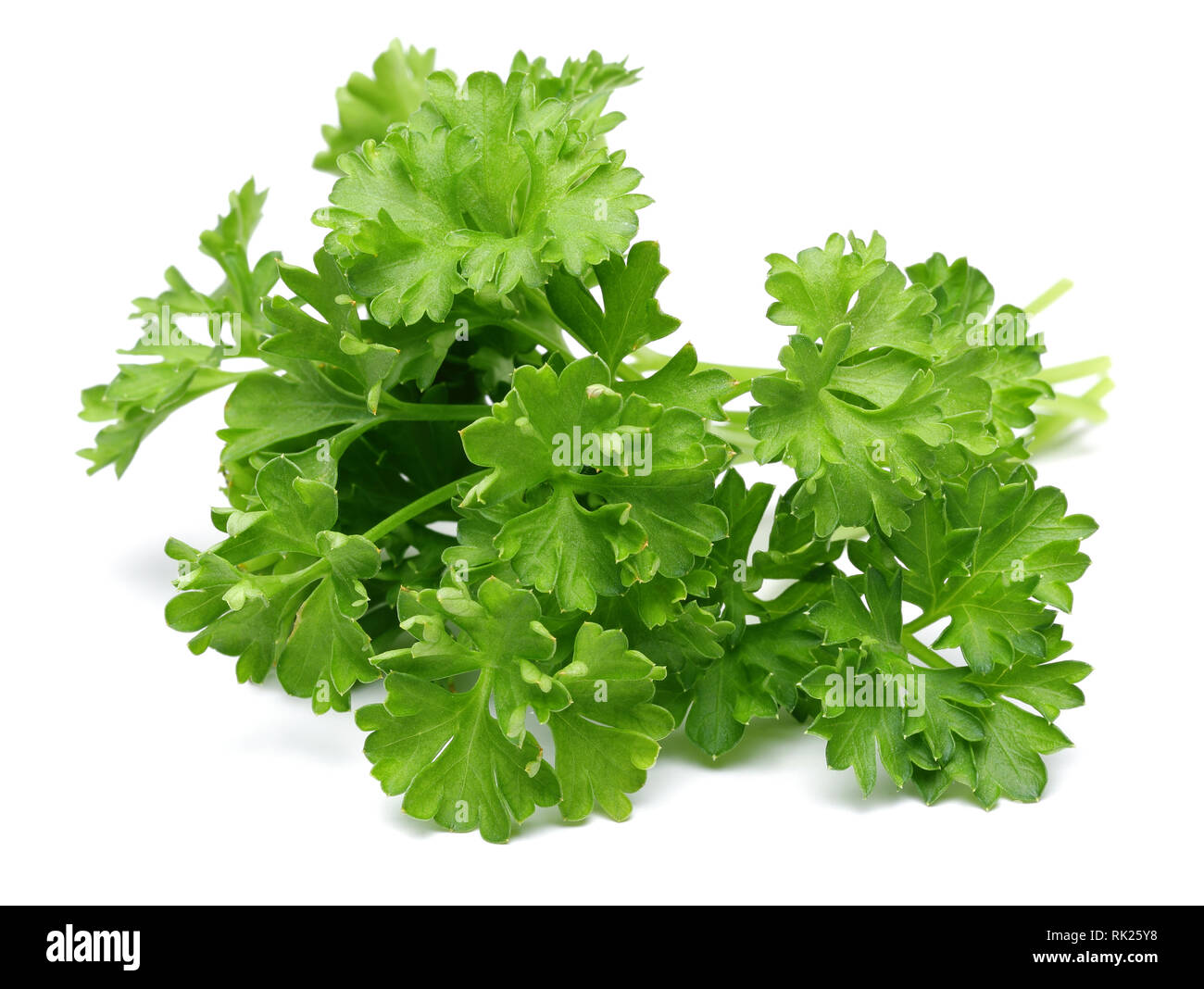 Fresh green parsley isolated on white background Stock Photo - Alamy