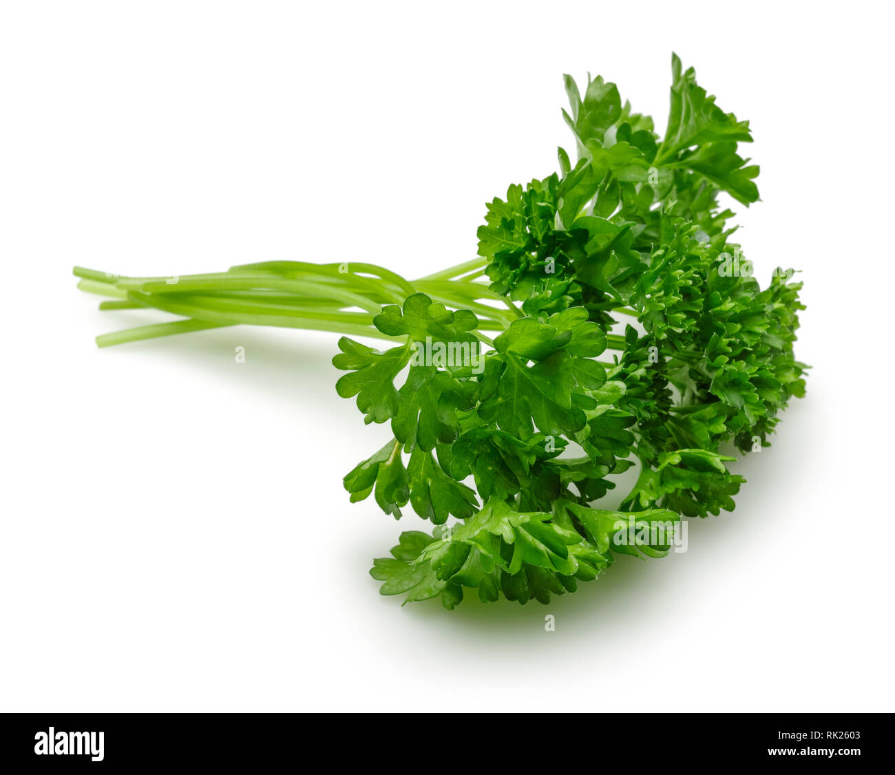 Fresh green parsley isolated on white background Stock Photo - Alamy