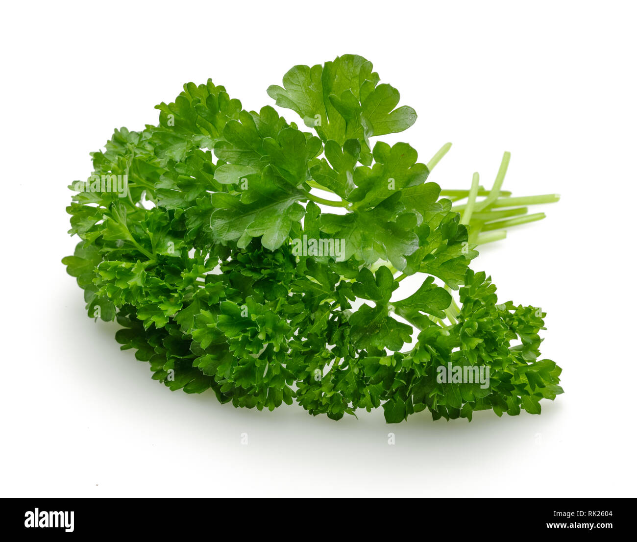 Fresh green parsley isolated on white background Stock Photo - Alamy