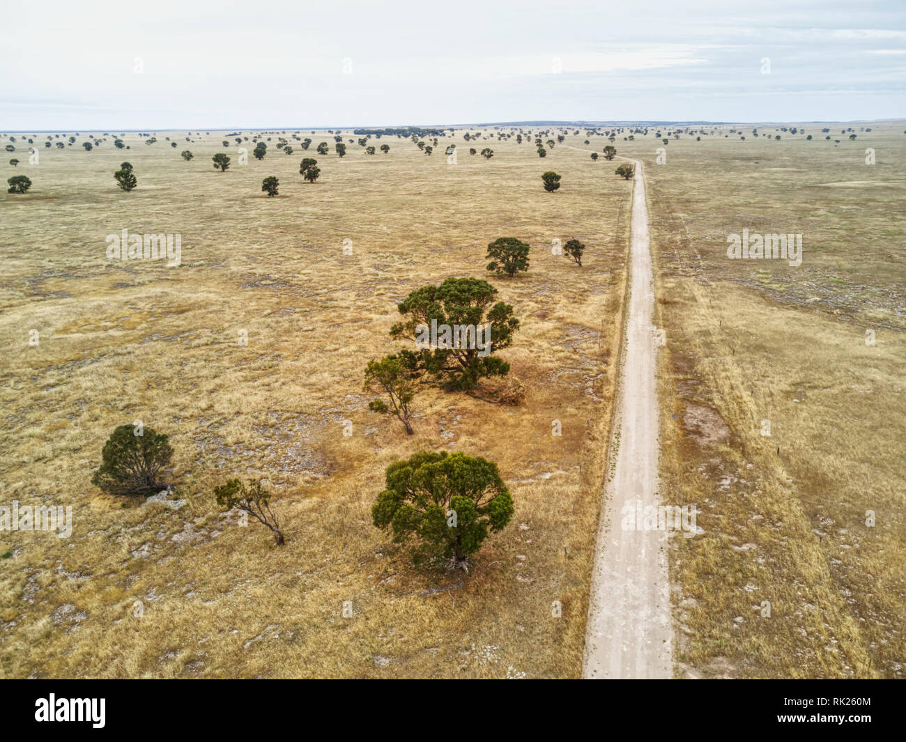 Dirt road leading through surrounded by rocky barren ground that was once  so densely vegetated that the name 'No Where Else' came about when the mana Stock Photo