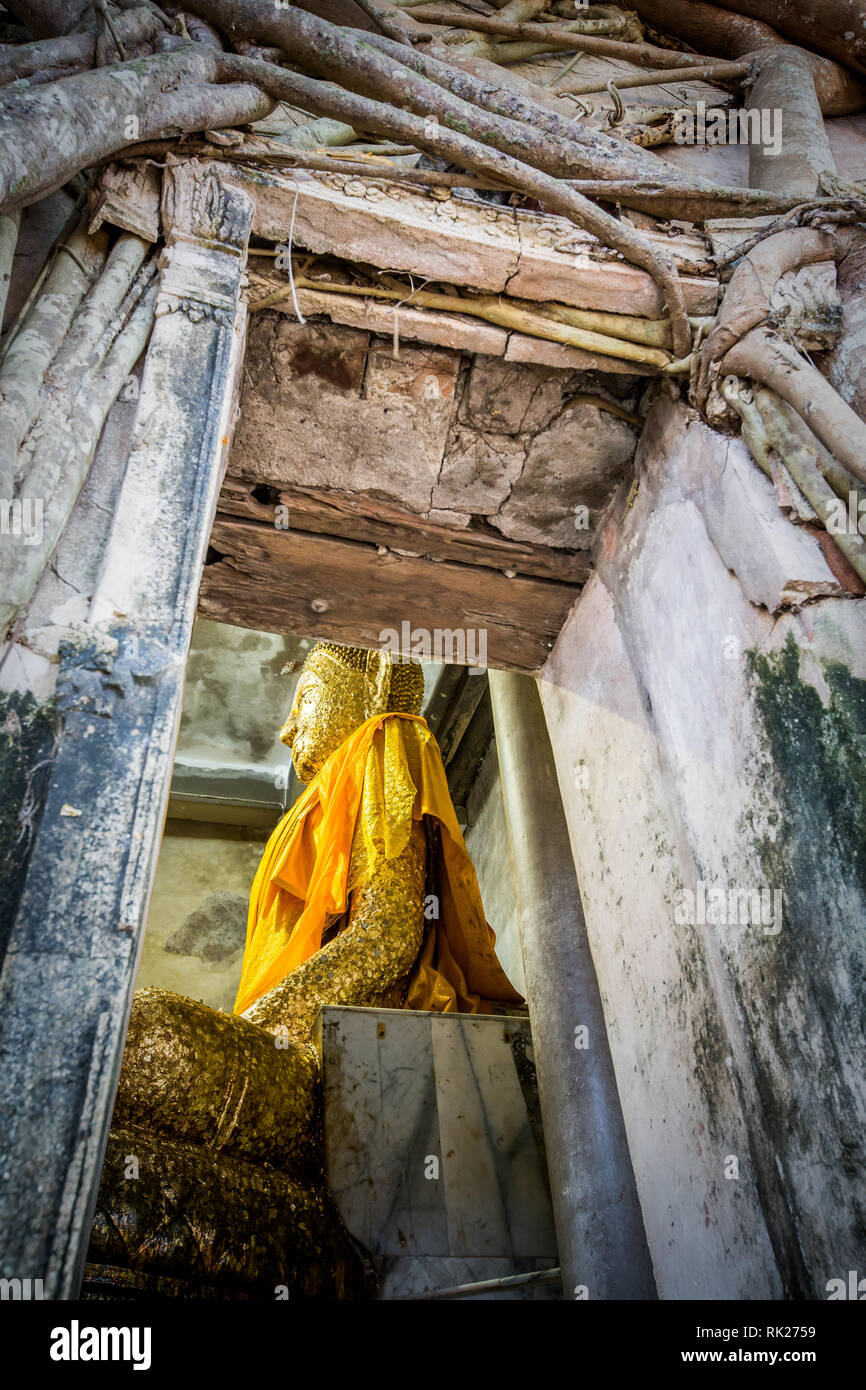 Buddha Statue in Window Frame at Wat Bang Kung. Wat Bang Kung is an old temple which has been overgrown with a giant banyan tree - Samut Songkhram, Th Stock Photo