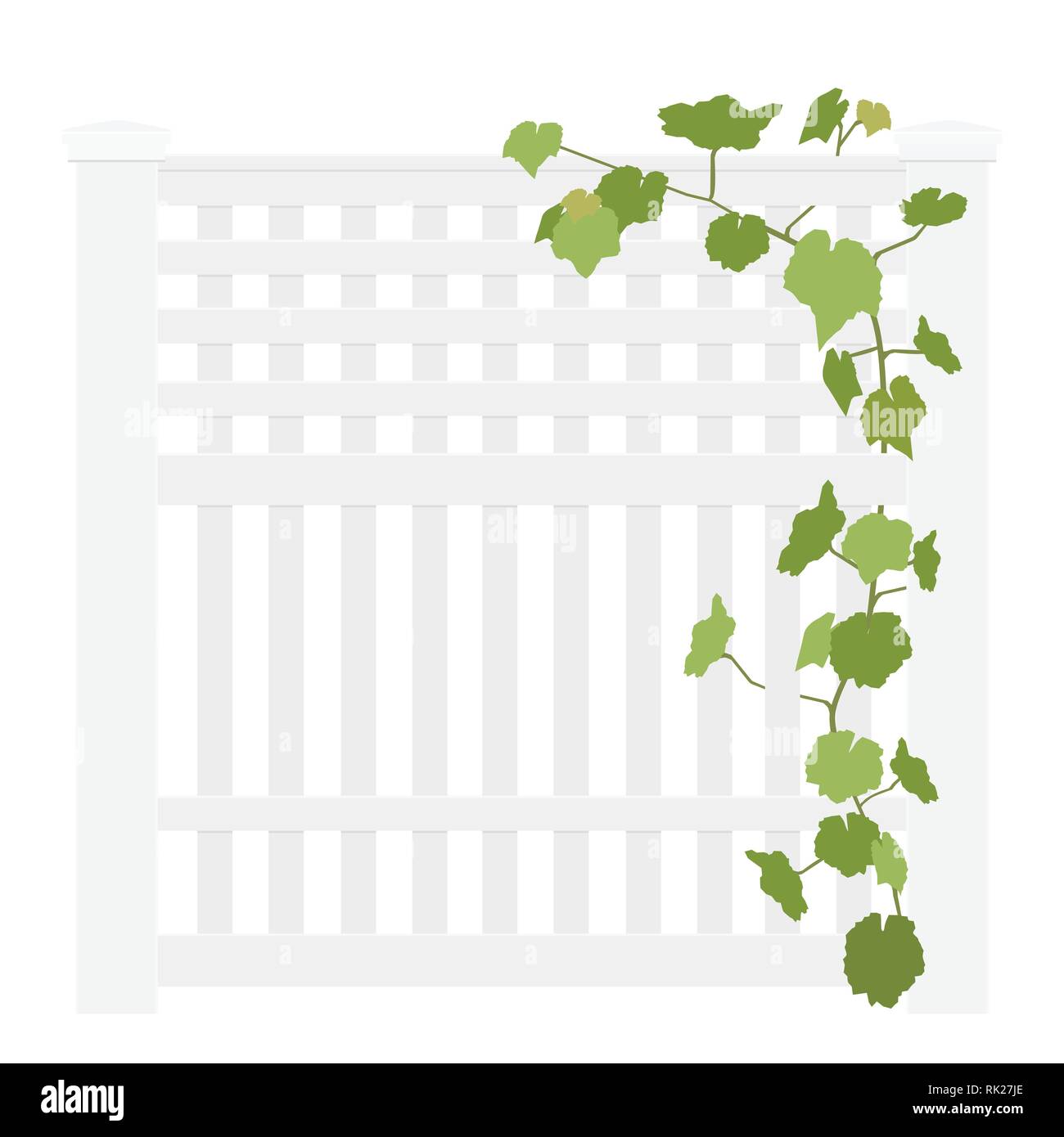 Wooden white rural garden fence  and green ivy plant over it isolated on white background. Vector illustration Stock Vector