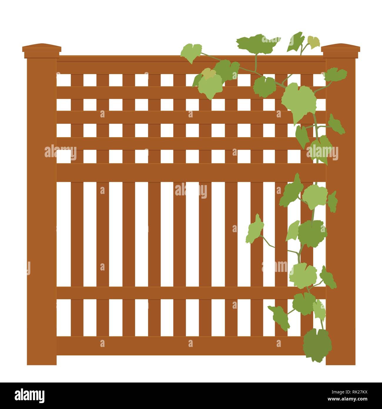 Wooden rural garden fence  and green ivy plant over it isolated on white background. Vector illustration Stock Vector