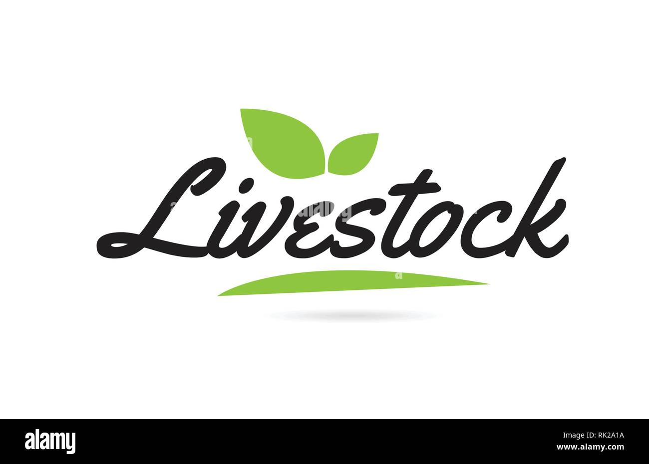 Livestock hand written word text for typography design in black color ...