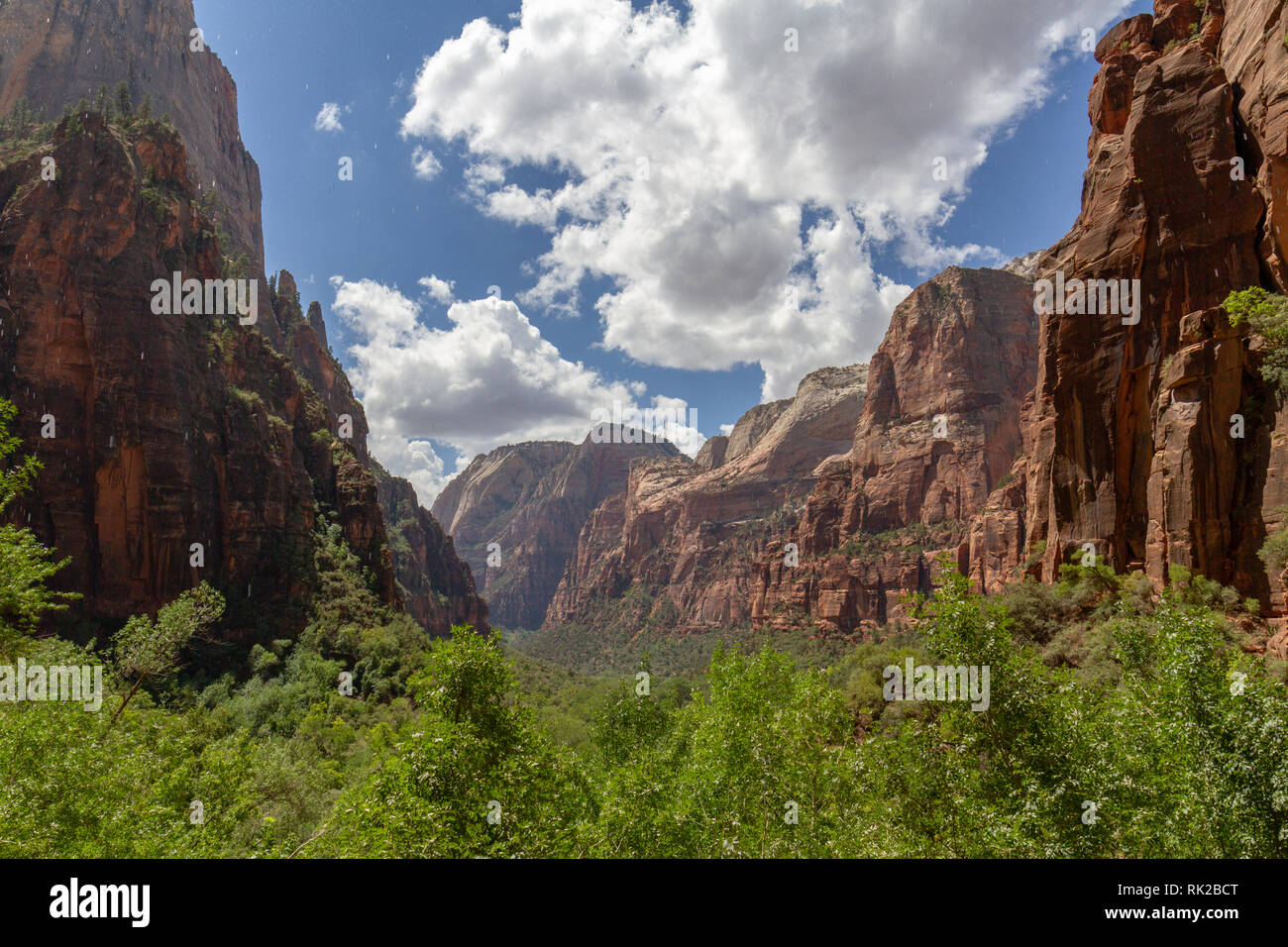 View from underneath Weeping Rock (with water dropping-see notes), Zion National Park, Springdale, Utah, United States. Stock Photo
