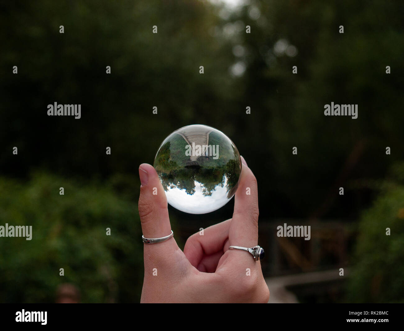 One person with a crystal ball in her hand in a forest in autumn Stock ...