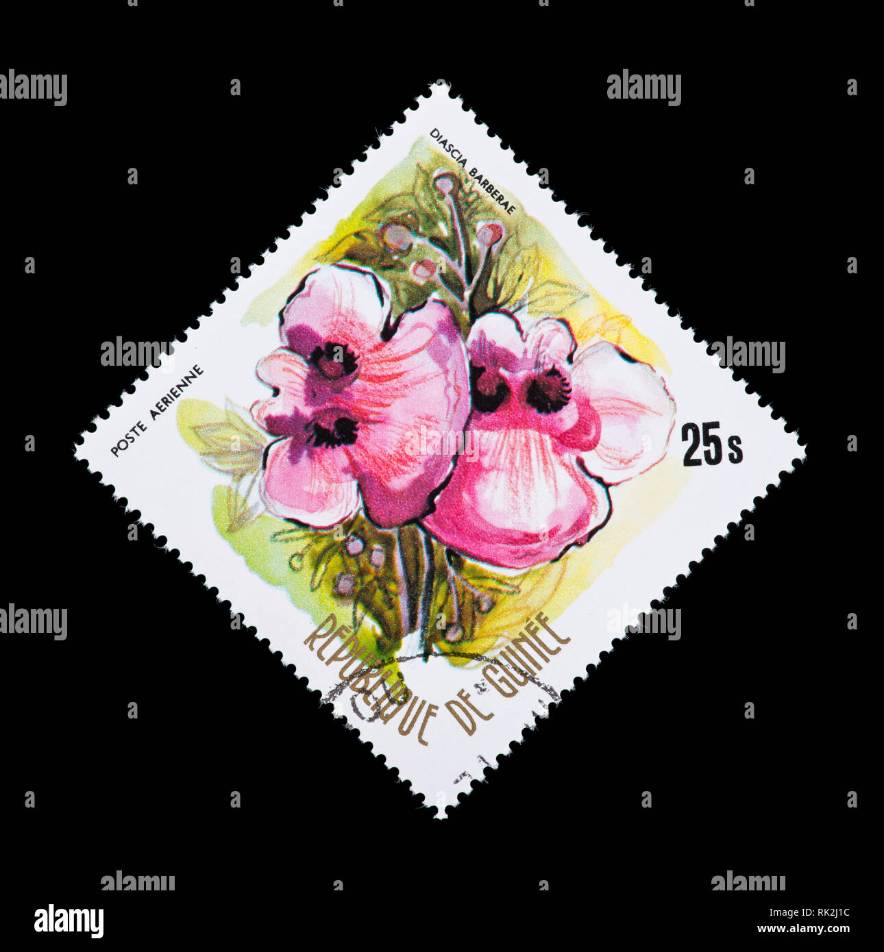 Postage stamp fro Guinea depicting twinspur (Diascia barberae) Stock Photo