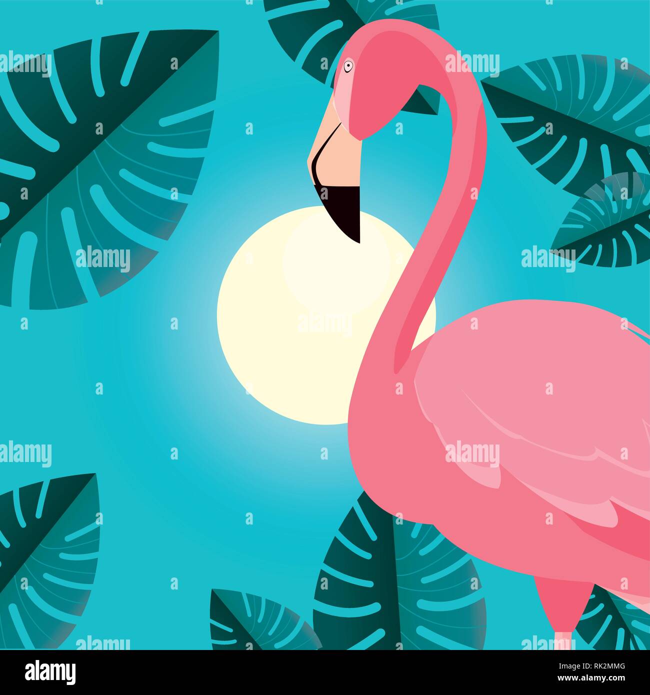tropical flamingo exotic leaves sun vector illustration Stock Vector ...
