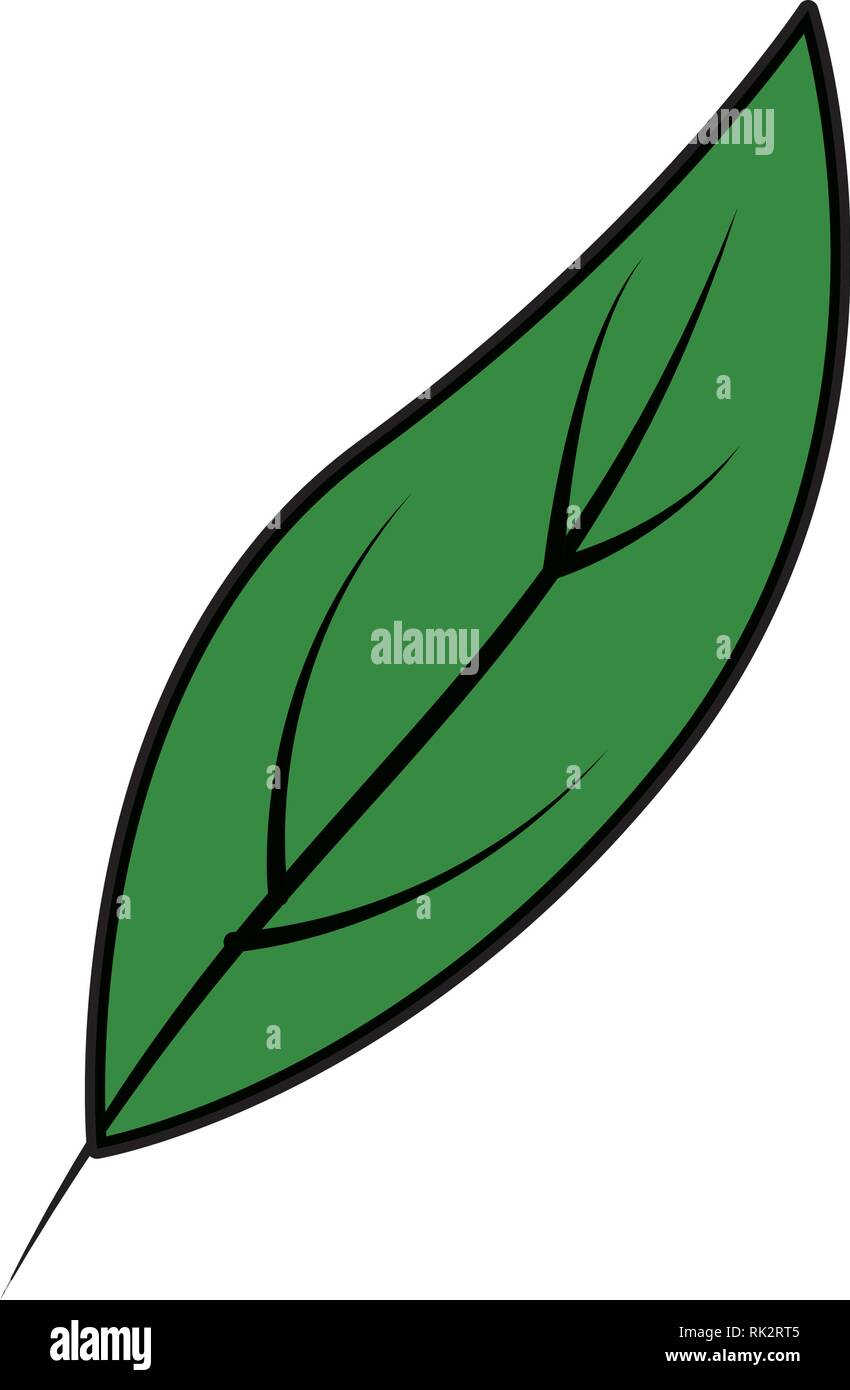 ecology leaf plant icon Stock Vector Image & Art - Alamy